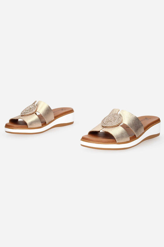SUSIMODA - D A006102 Ciabatta