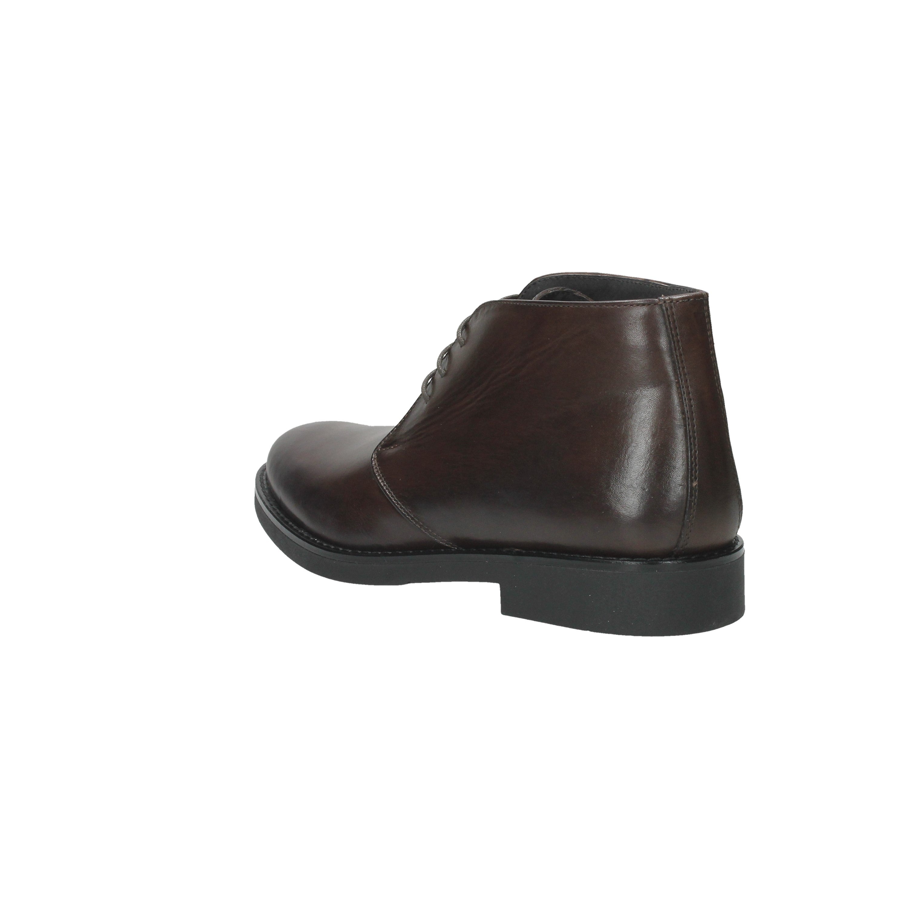 TESTA DI MORO | OSSIANI - U 010VEN Polacco