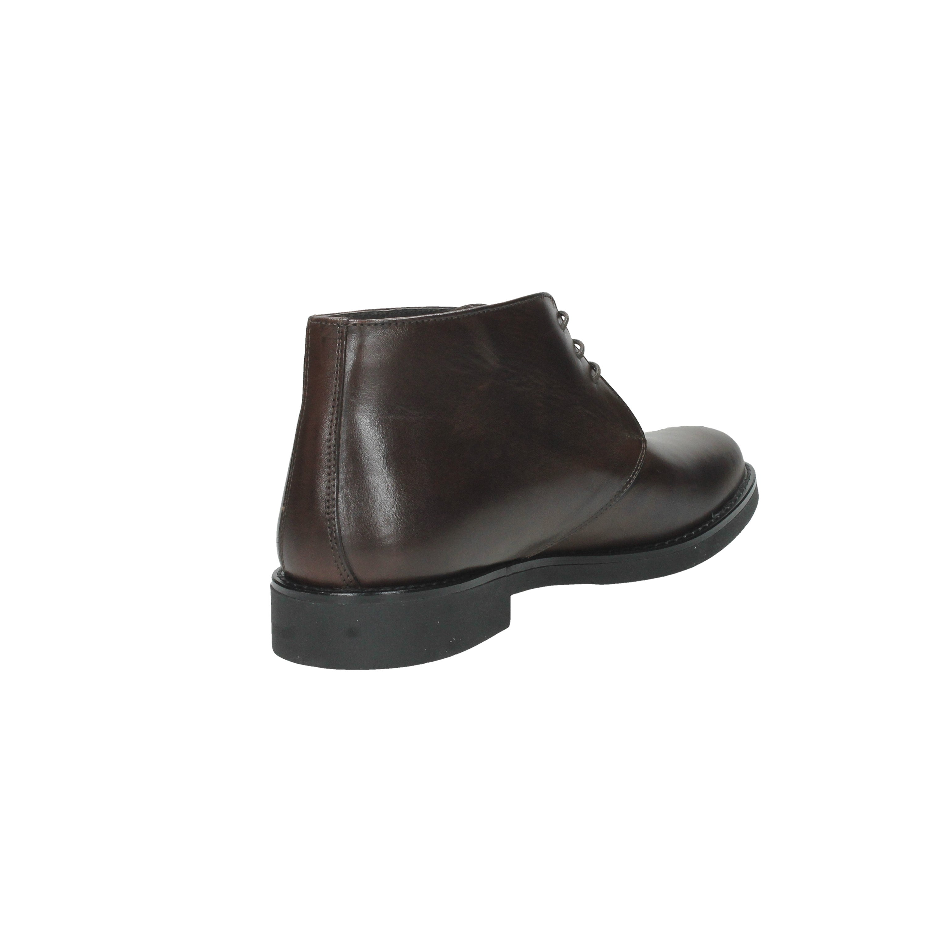 TESTA DI MORO | OSSIANI - U 010VEN Polacco