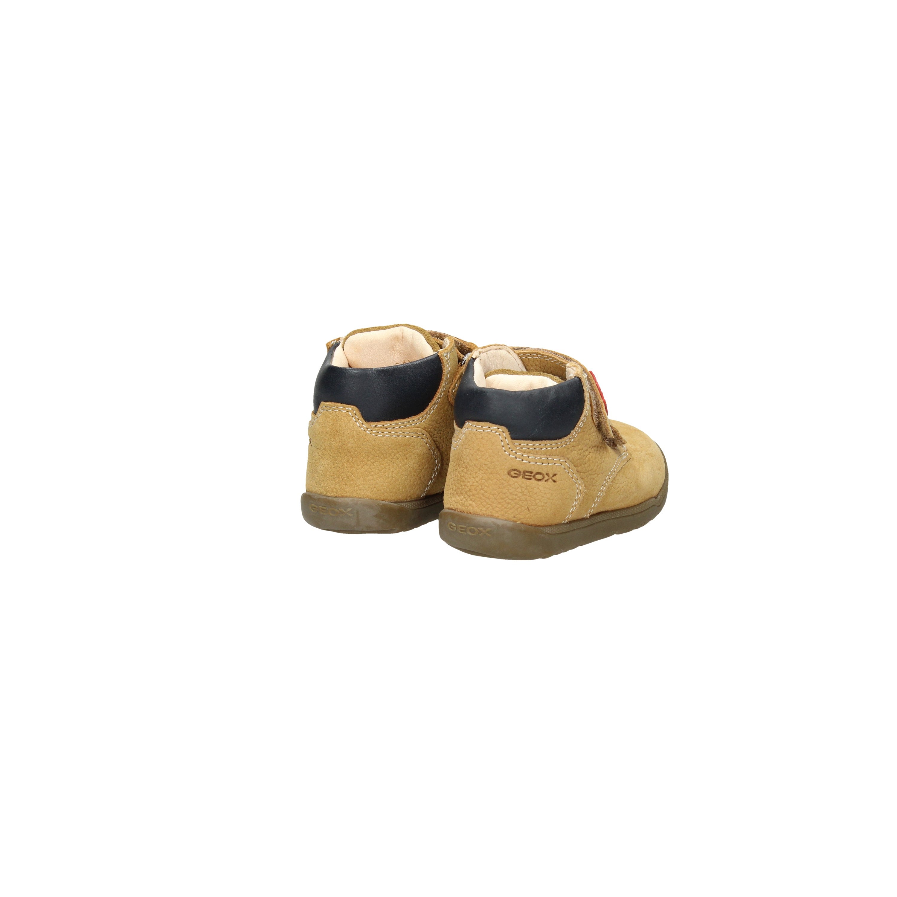 BISCOTTO | GEOX - BO B164NC Polacco