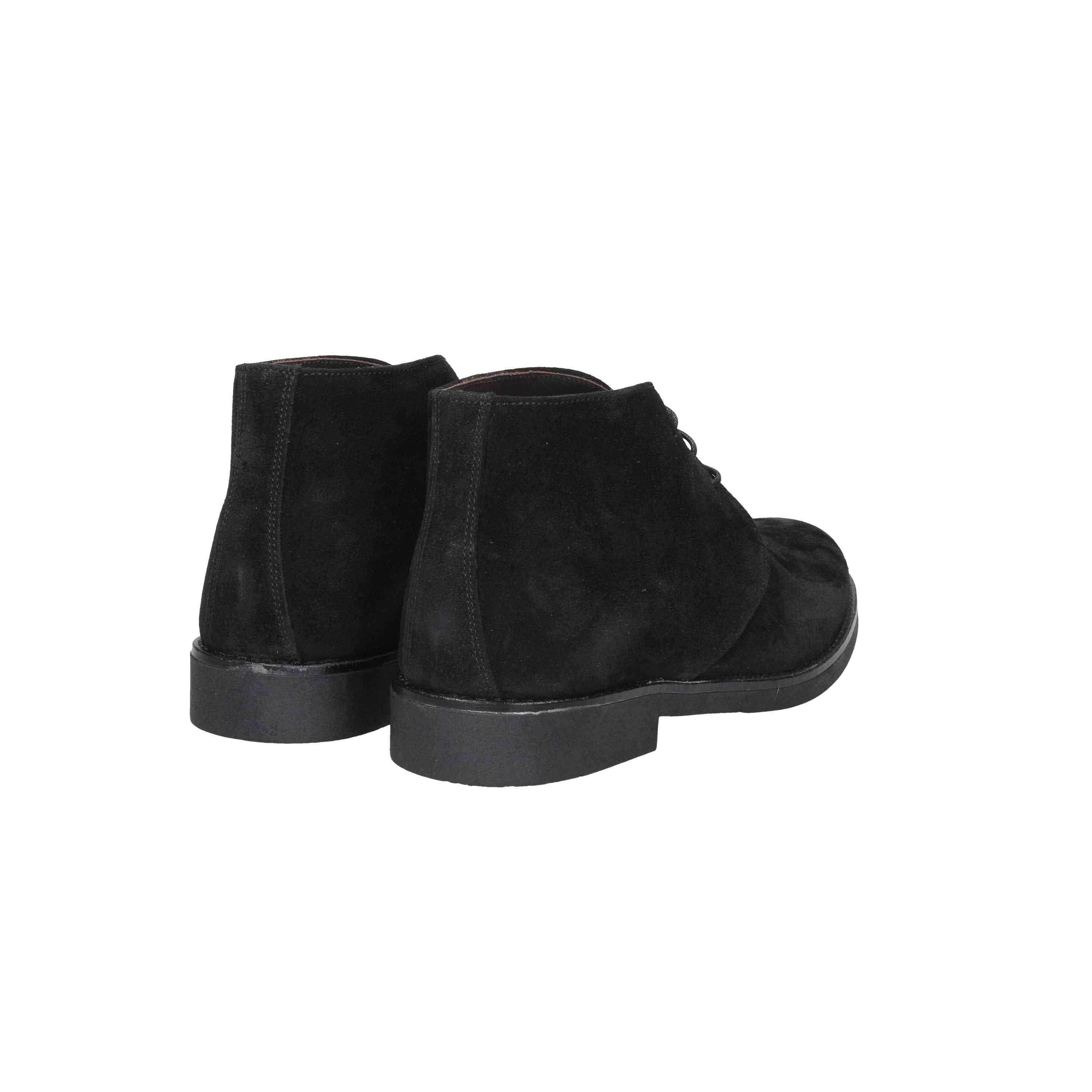 OSSIANI - U 010VEN Polacco