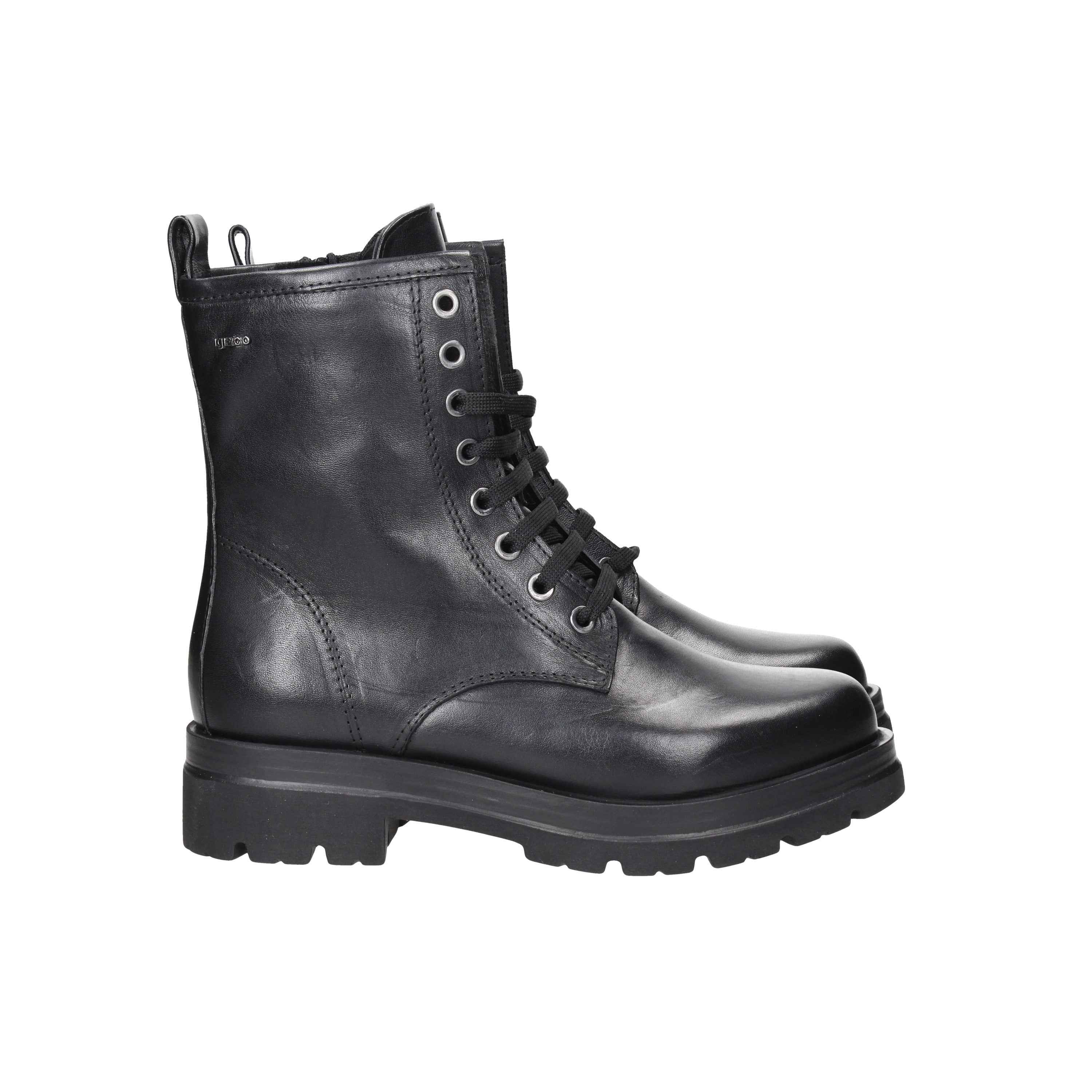 IGI & CO - D 6686100 Anfibio