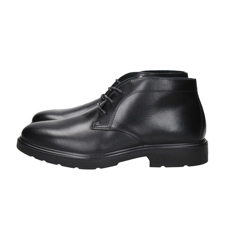 IGI & CO - U 6602200 Polacco