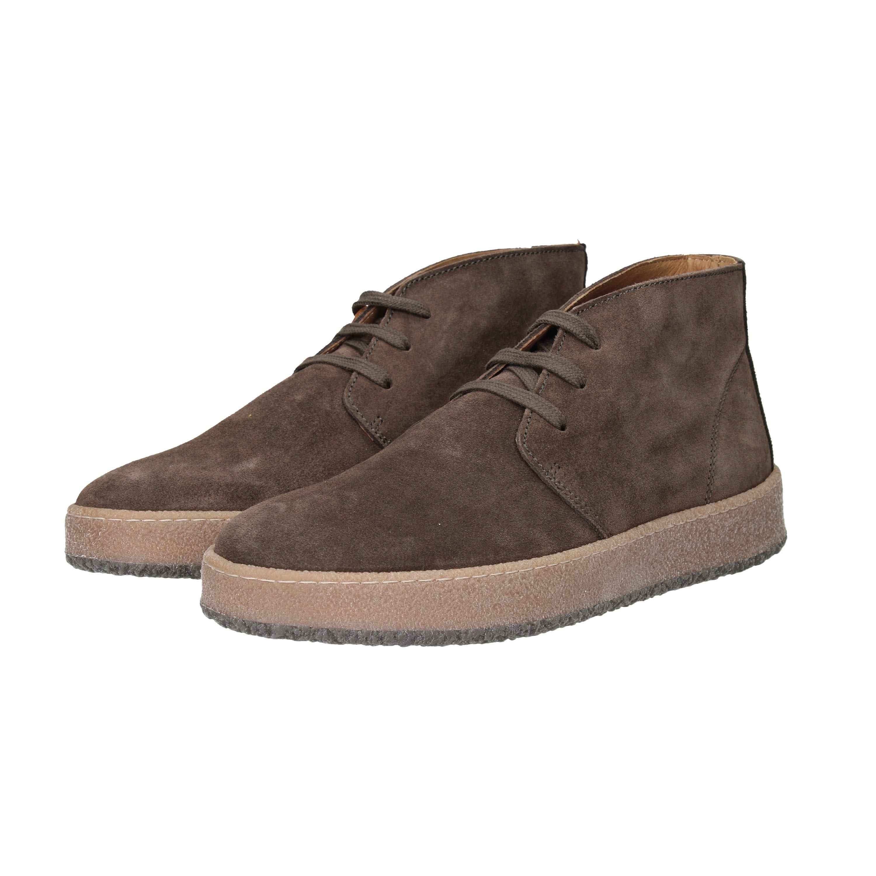 IGI & CO - U 6623322 Polacco