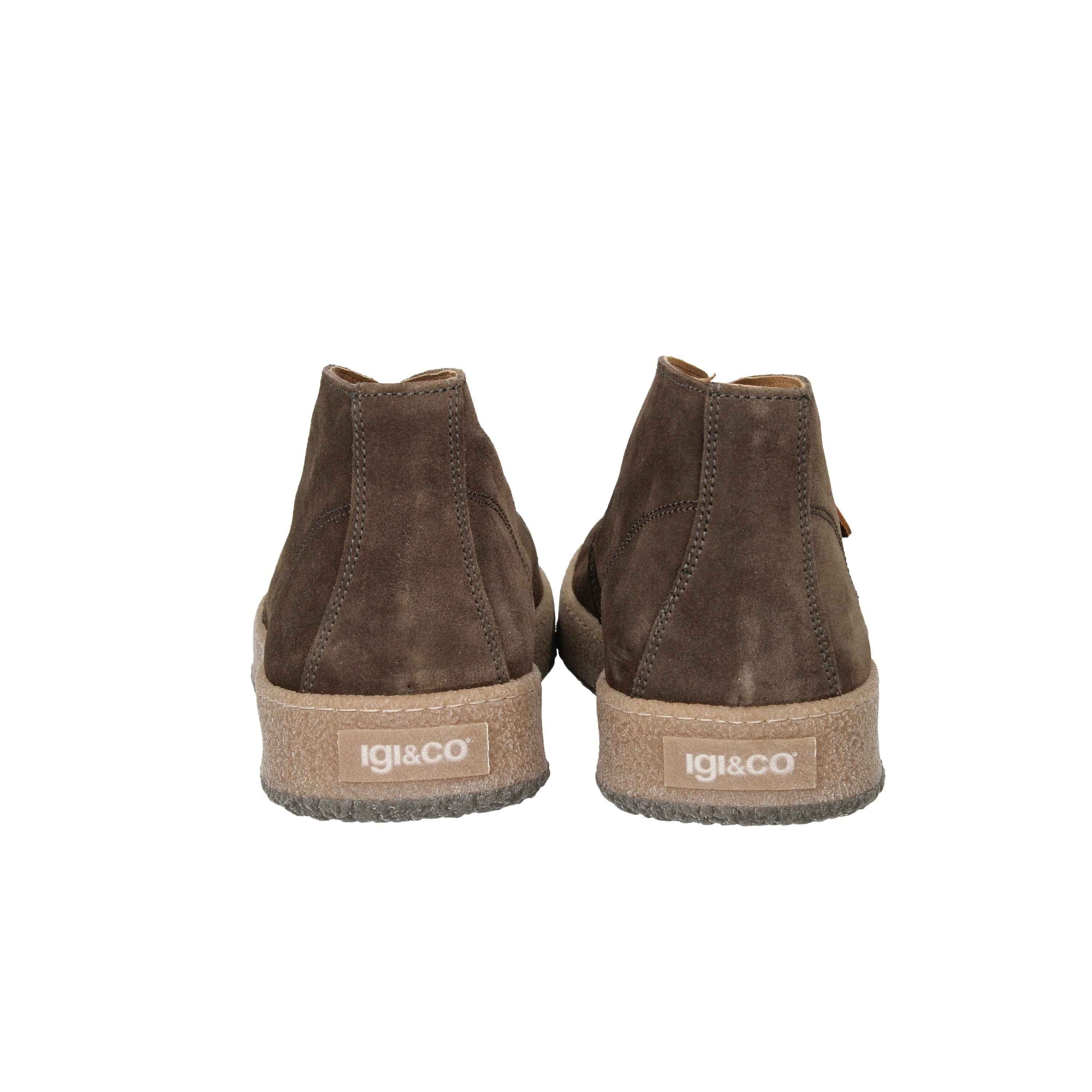 IGI & CO - U 6623322 Polacco