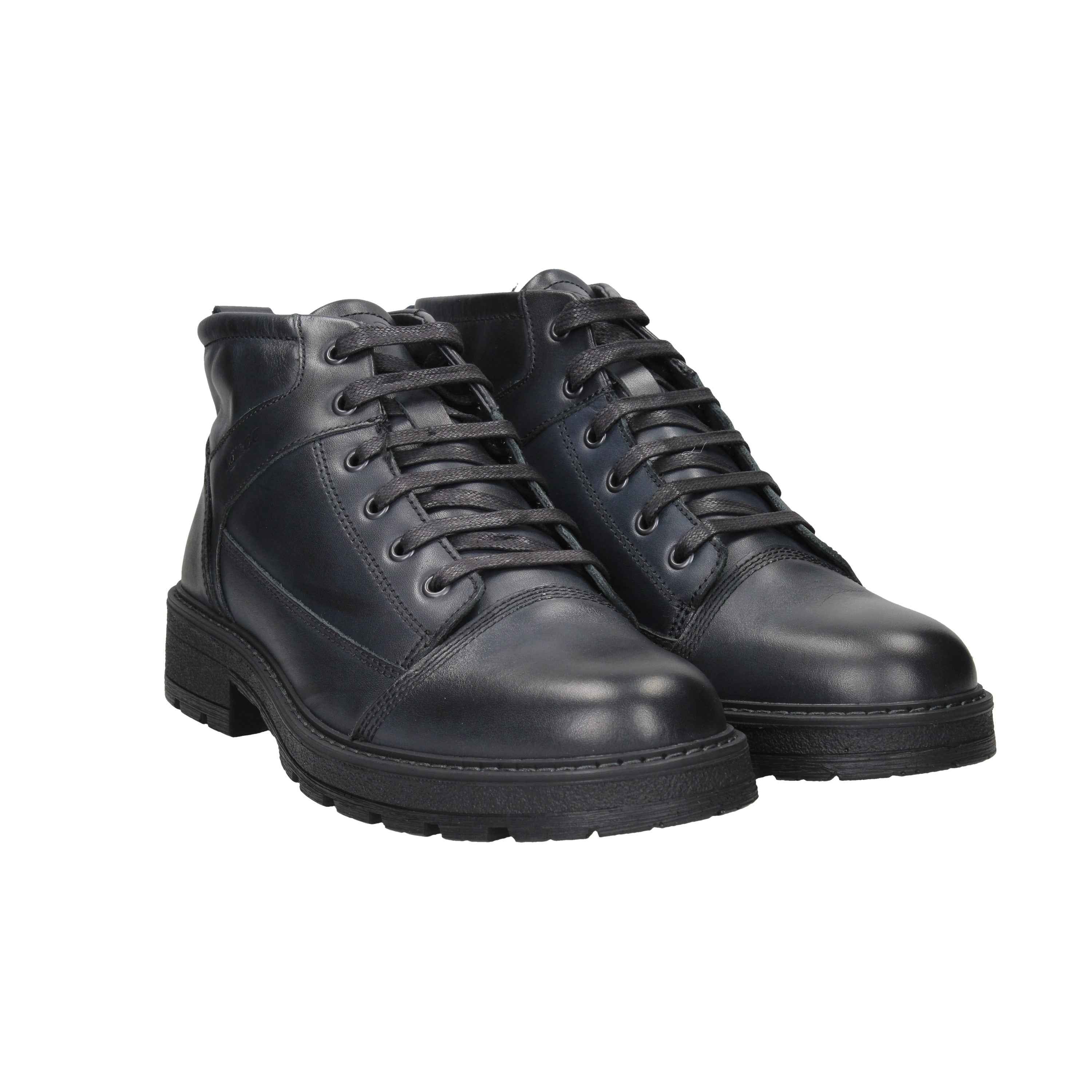 IGI & CO - U 6612100 Anfibio