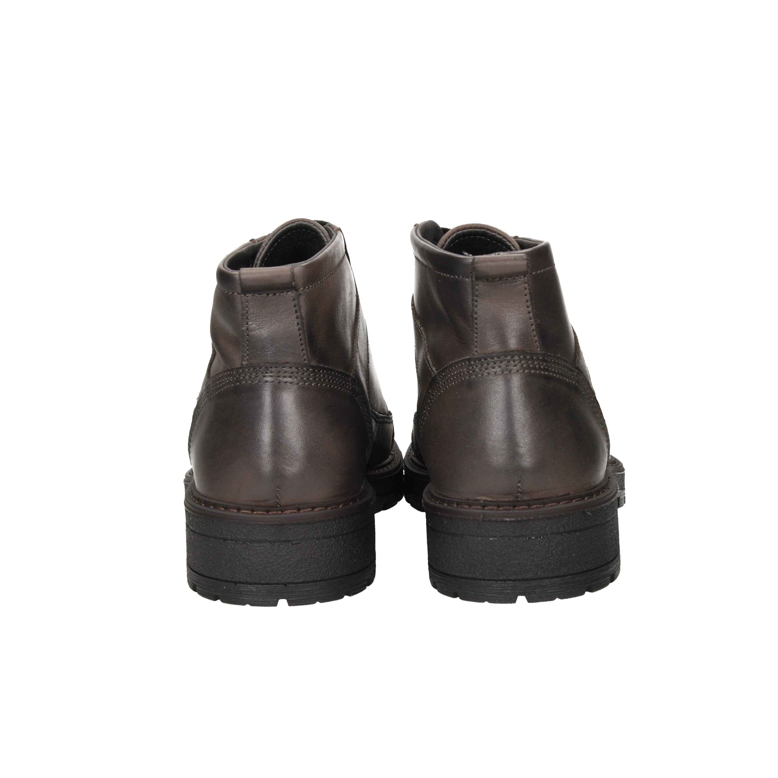 IGI & CO - U 6612111 Anfibio