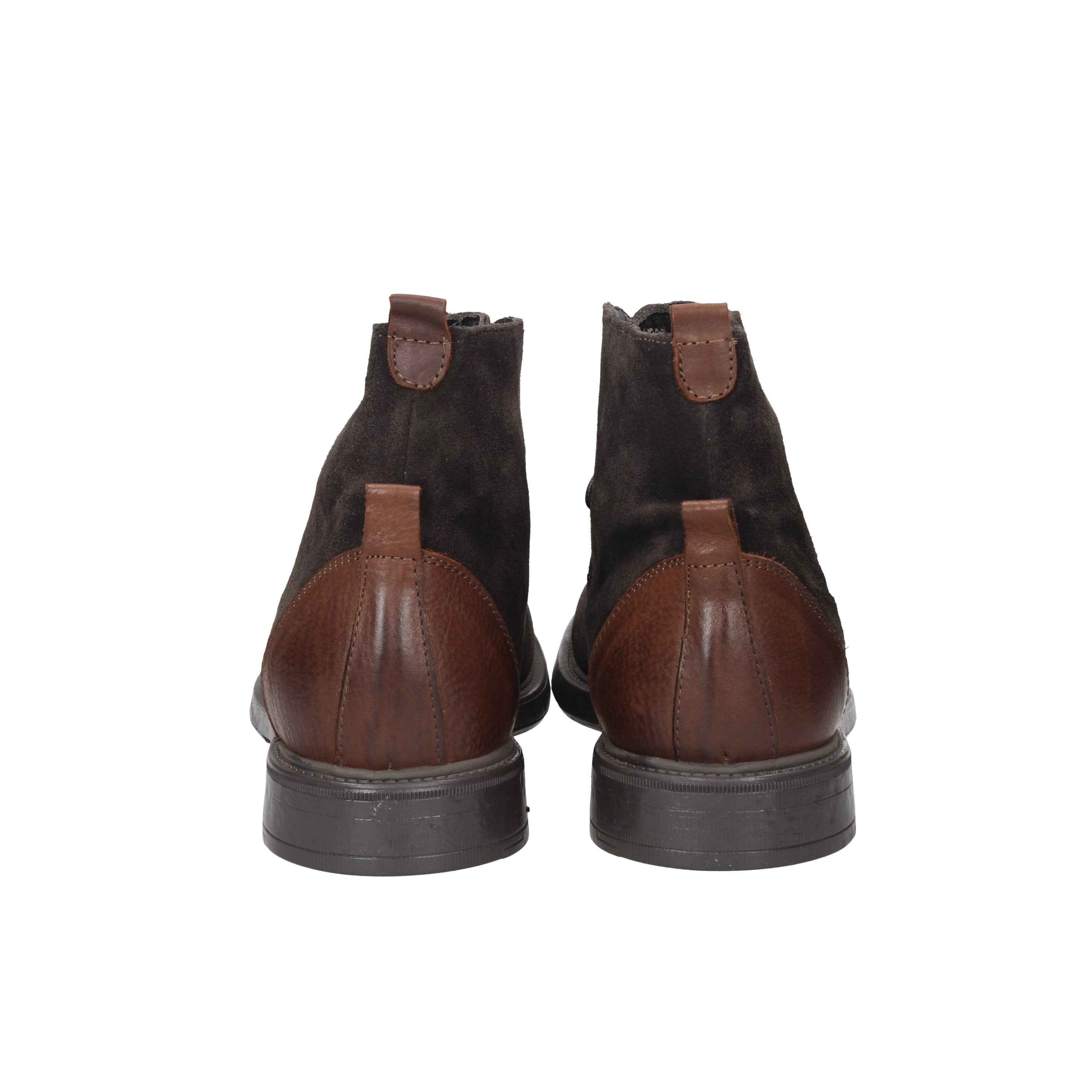 F. LLI RENNELLA - U 2176 Polacco