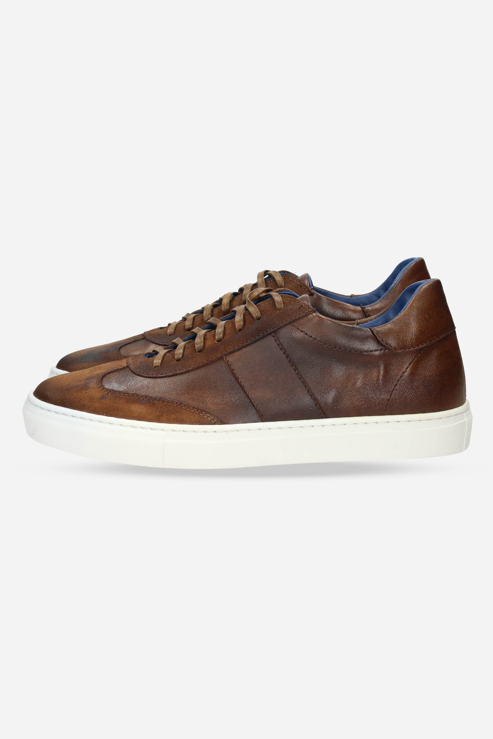 MARRONE | STRUTTURA - U 5565 Sneakers