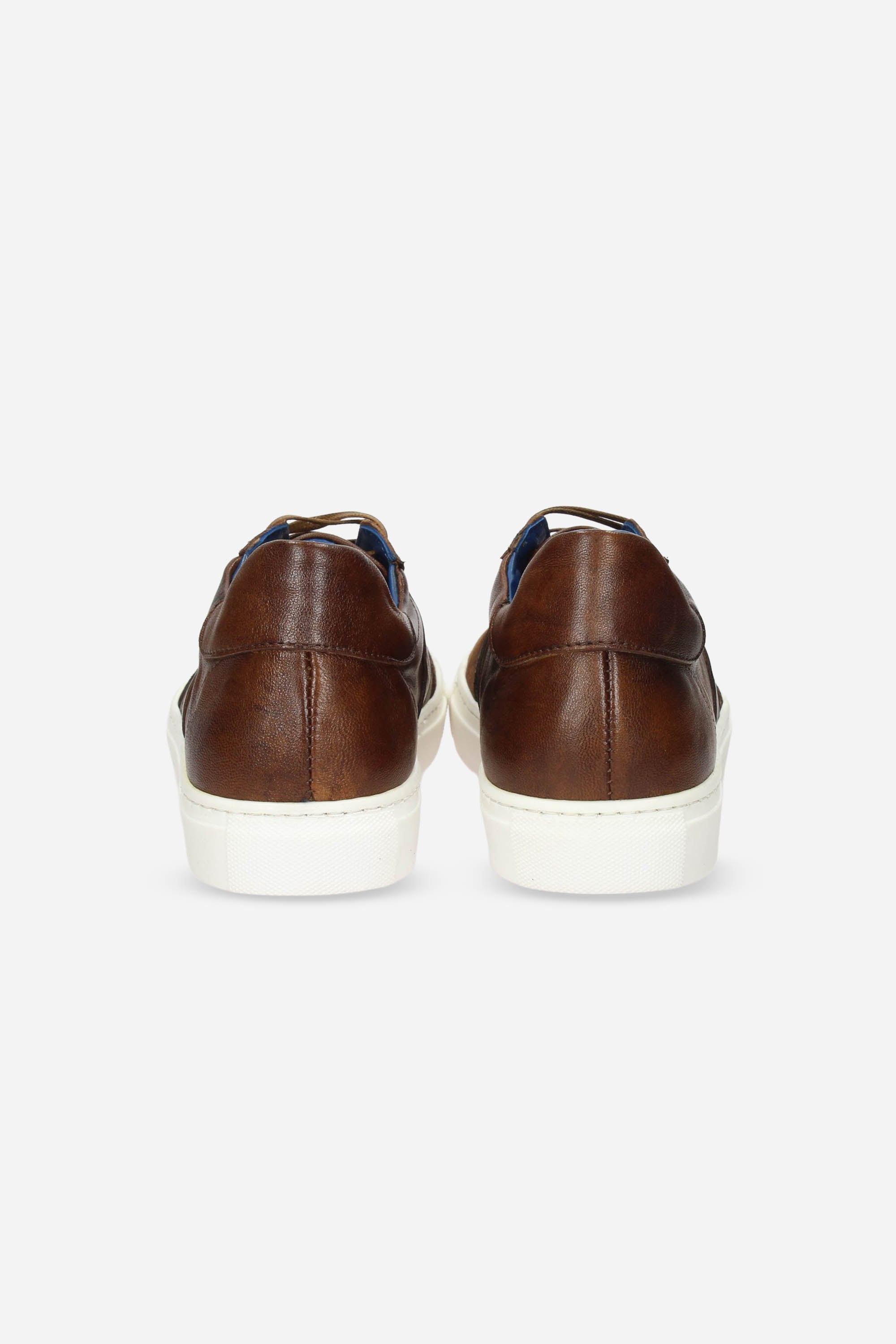 MARRONE | STRUTTURA - U 5565 Sneakers