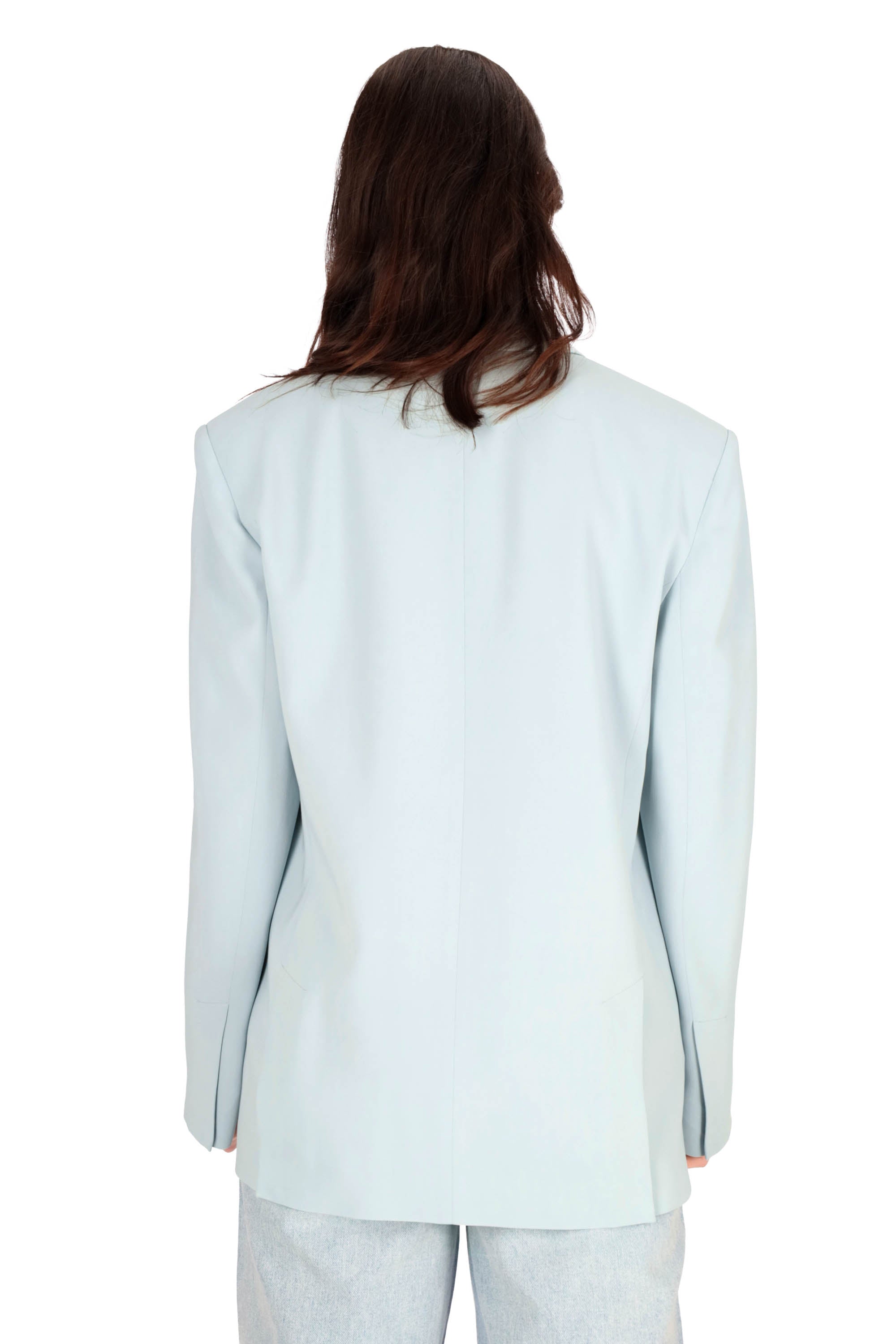 CELESTE | PINKO - D 104883A213 Giacca