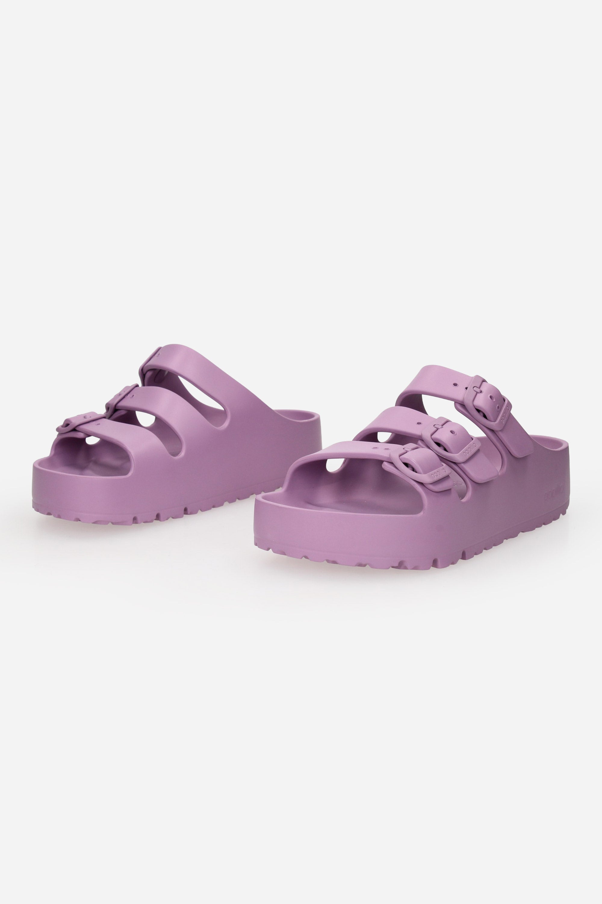 GLICINE | PAPILLIO - D FLORIDA Ciabatta