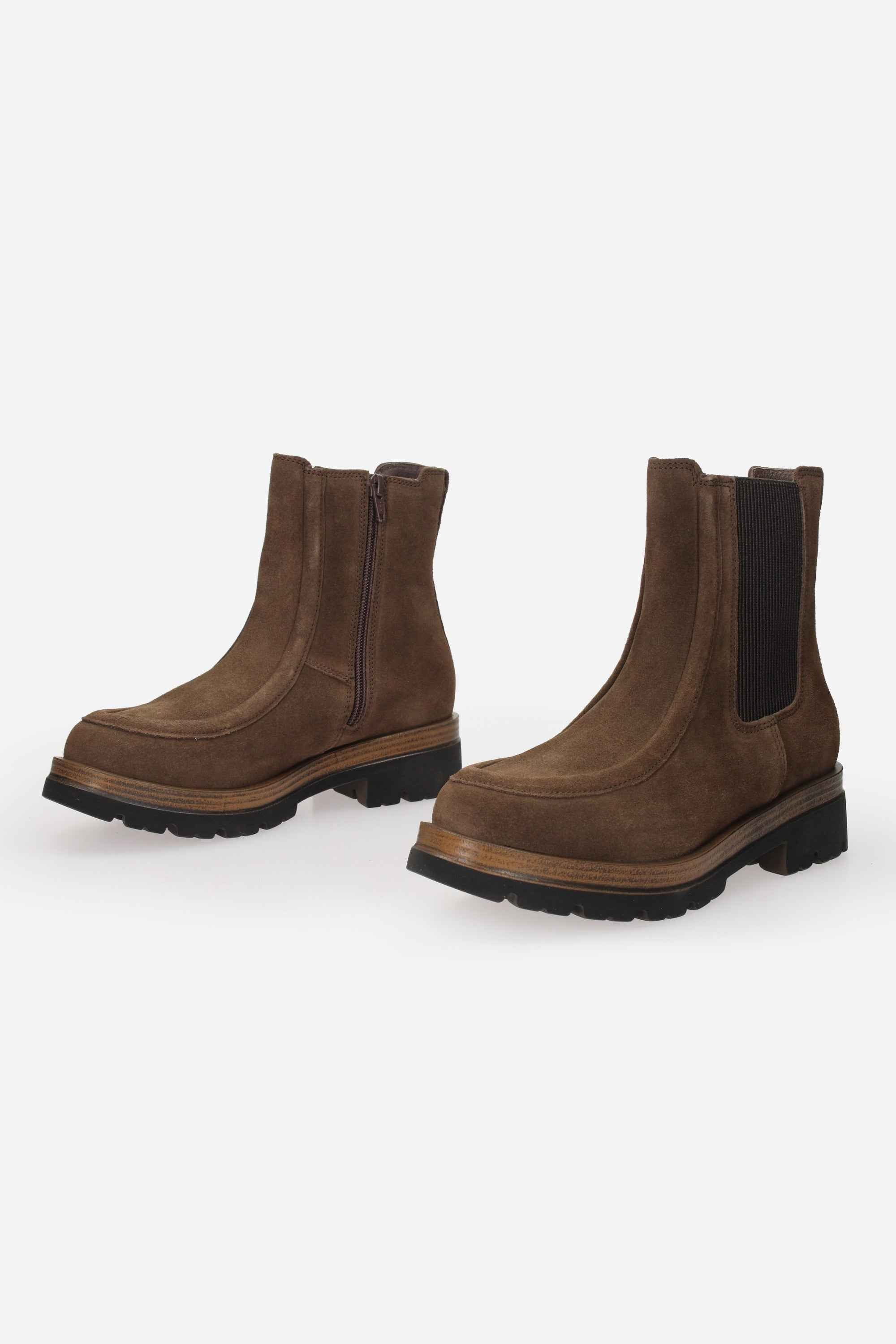 IGI & CO - D 8689411 Tronchetto