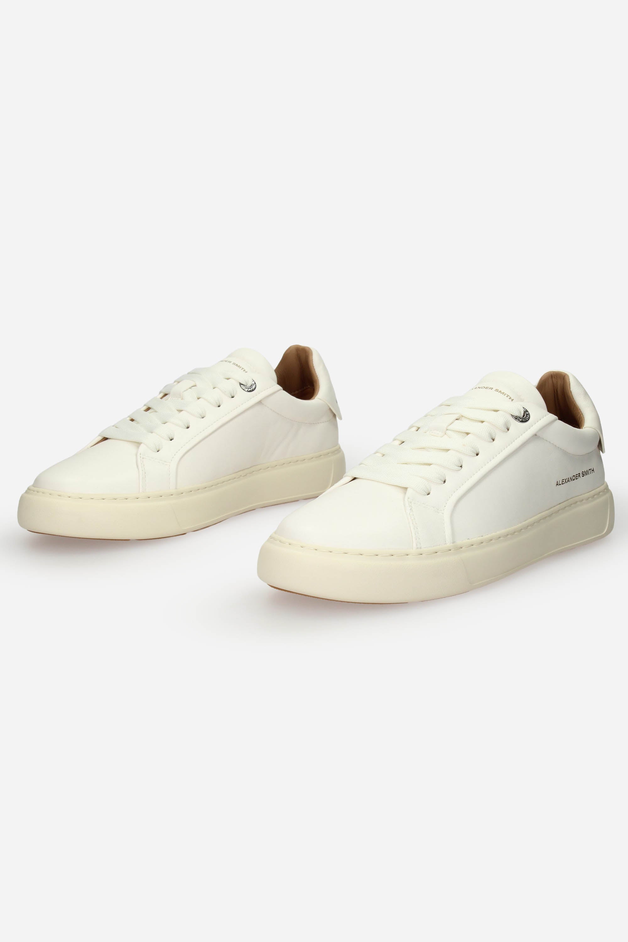 BIANCO | ALEXANDER SMITH - U 3660 Sneakers