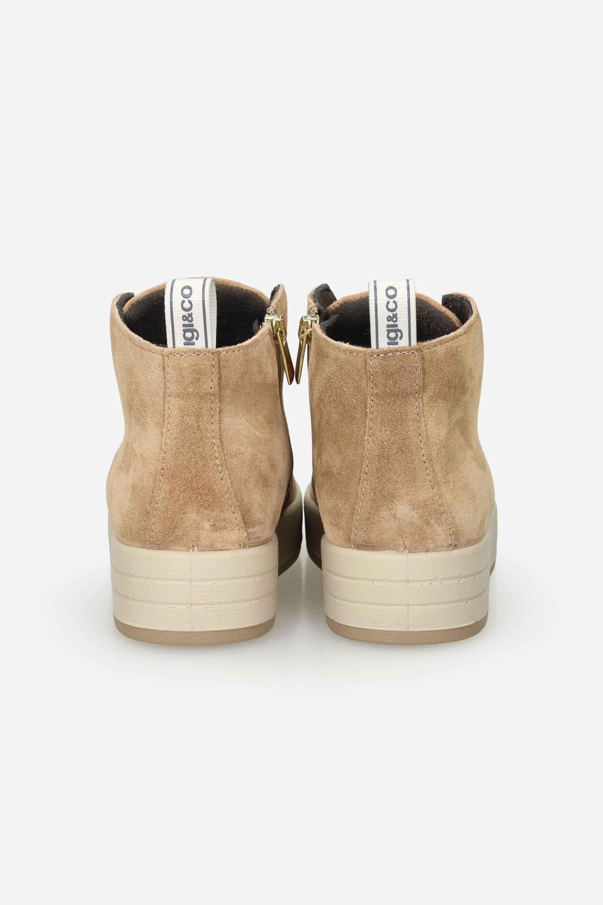 IGI & CO - D 8668244 Polacco