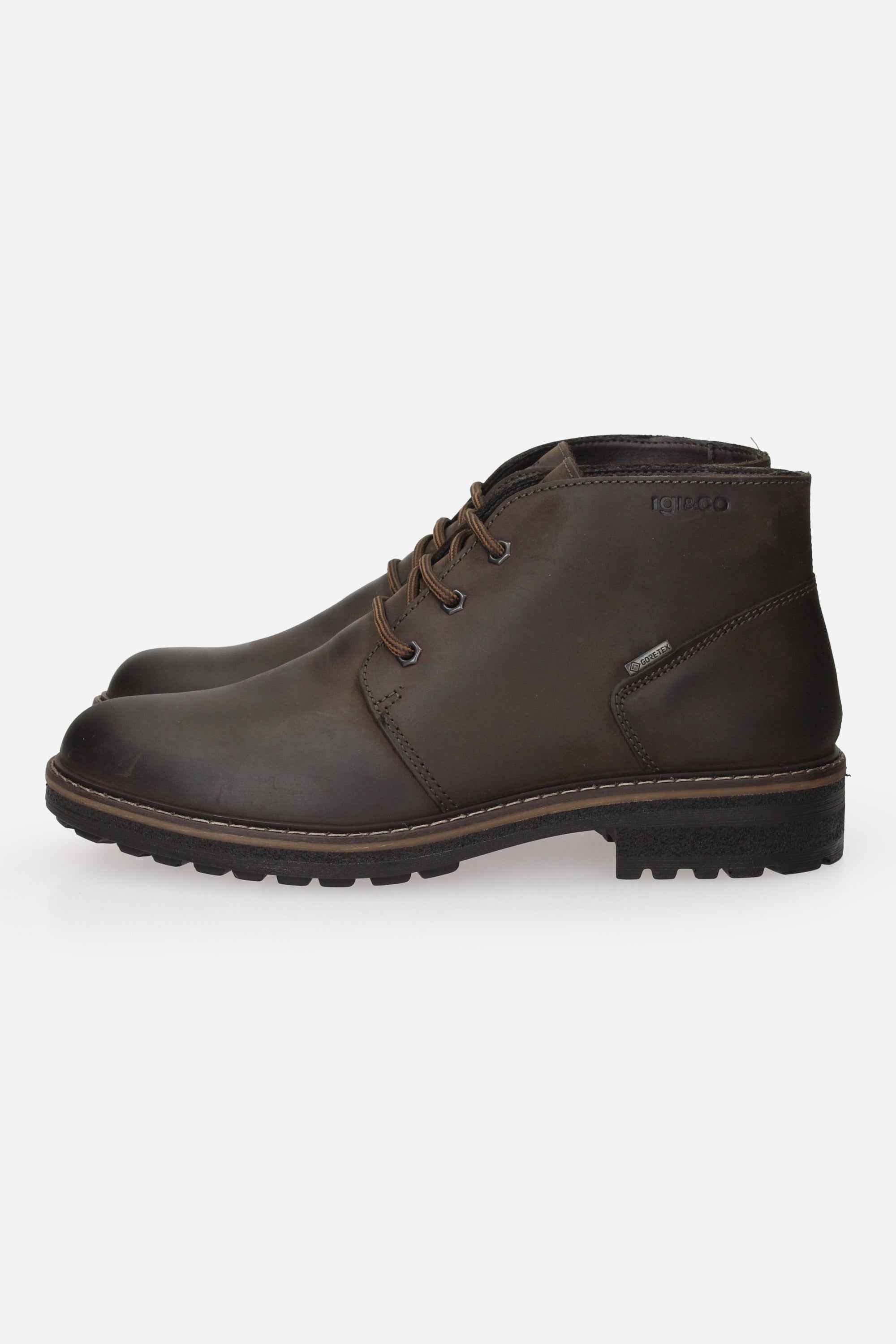 IGI & CO - U 8620611 Polacco
