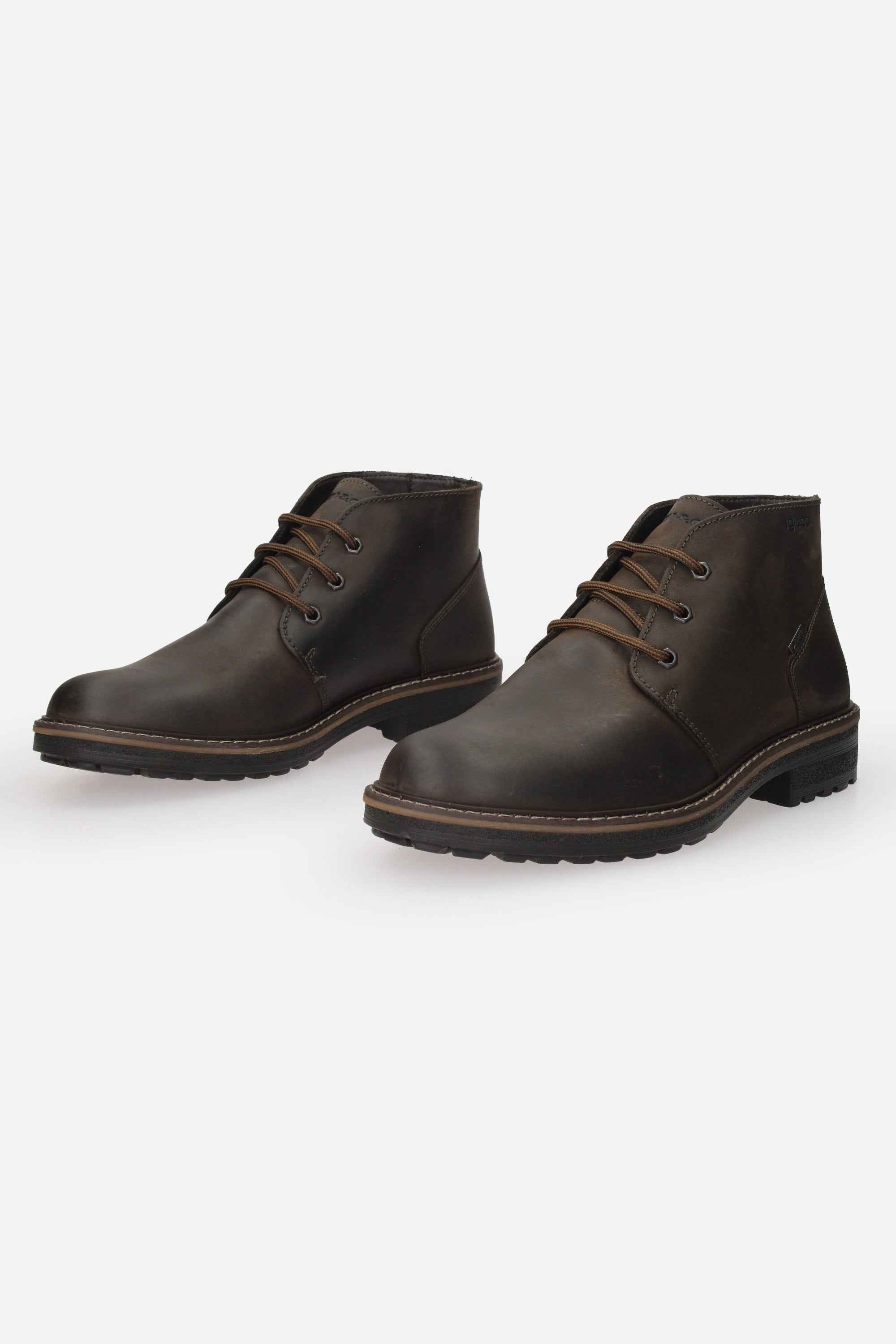 IGI & CO - U 8620611 Polacco