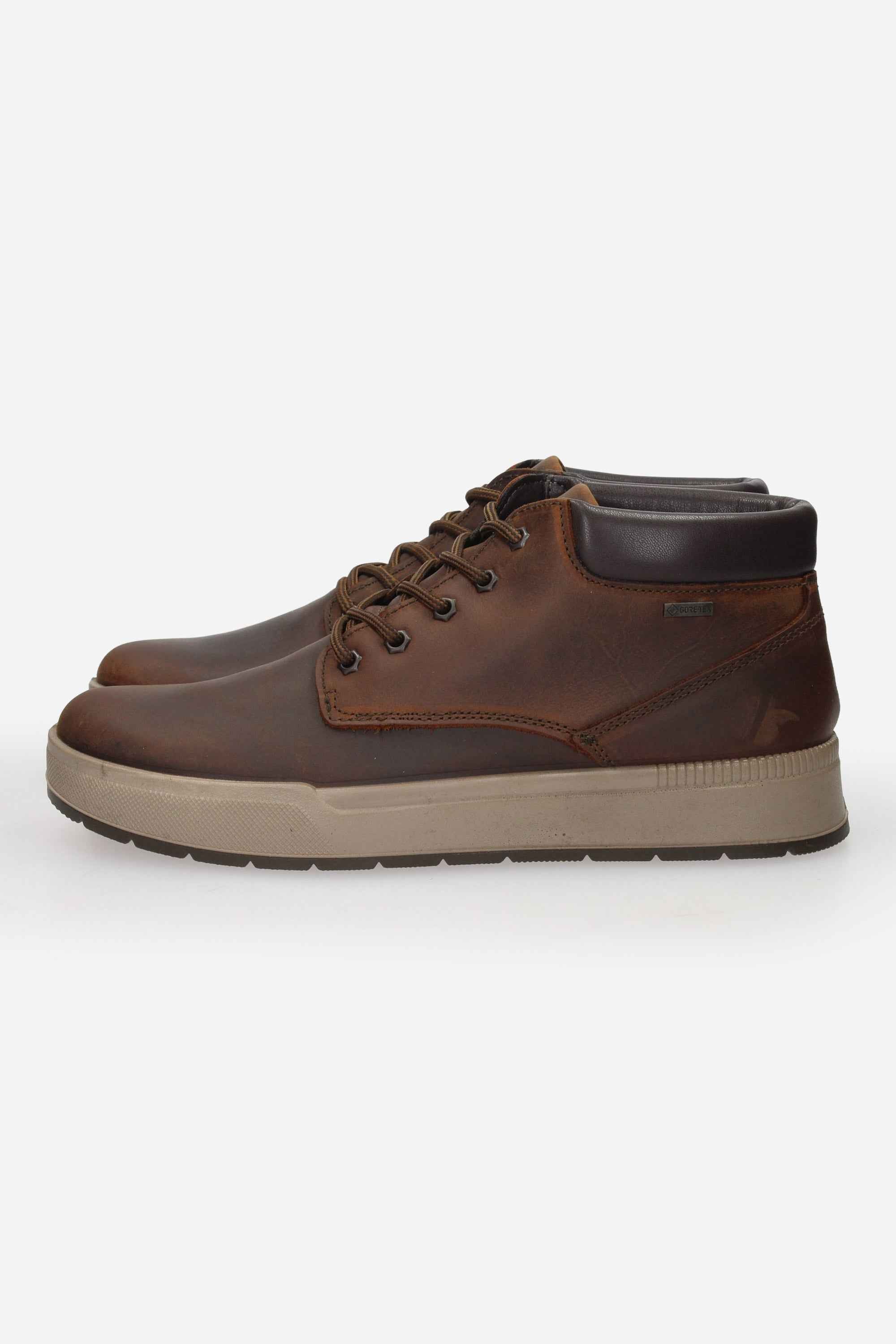 IGI & CO - U 8622211 Polacco