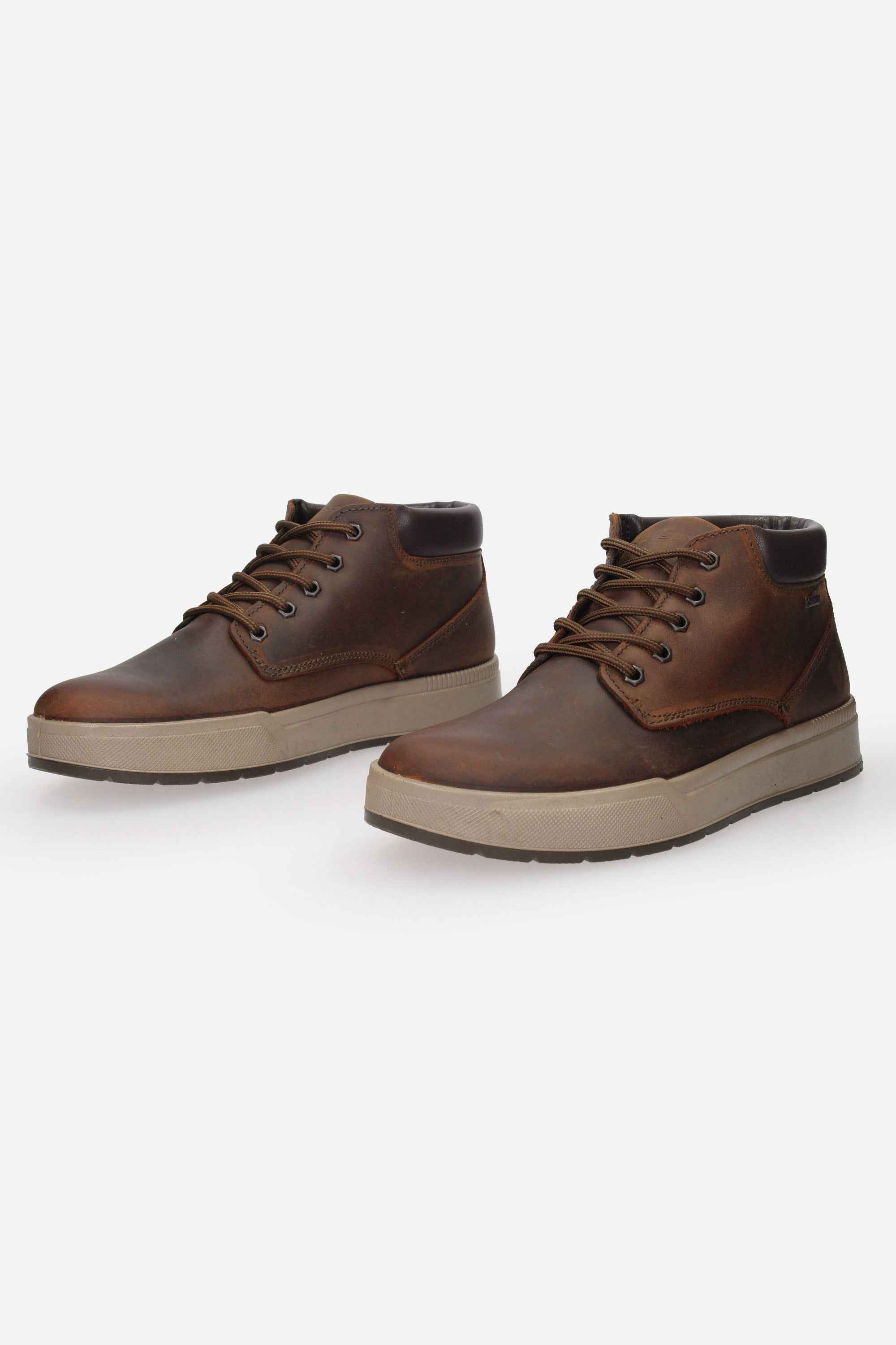 IGI & CO - U 8622211 Polacco