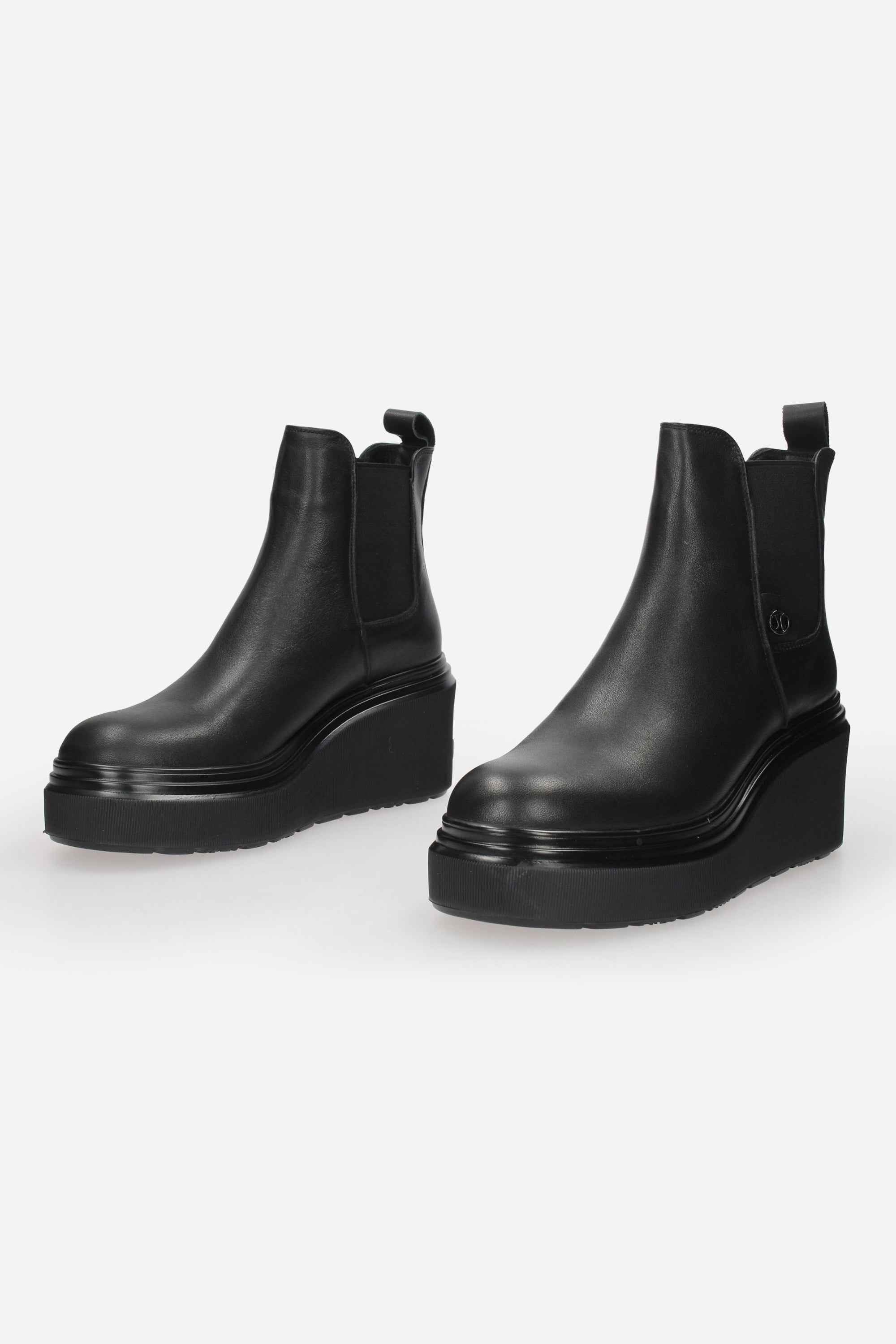 JANET & JANET - D J-463 Beatles