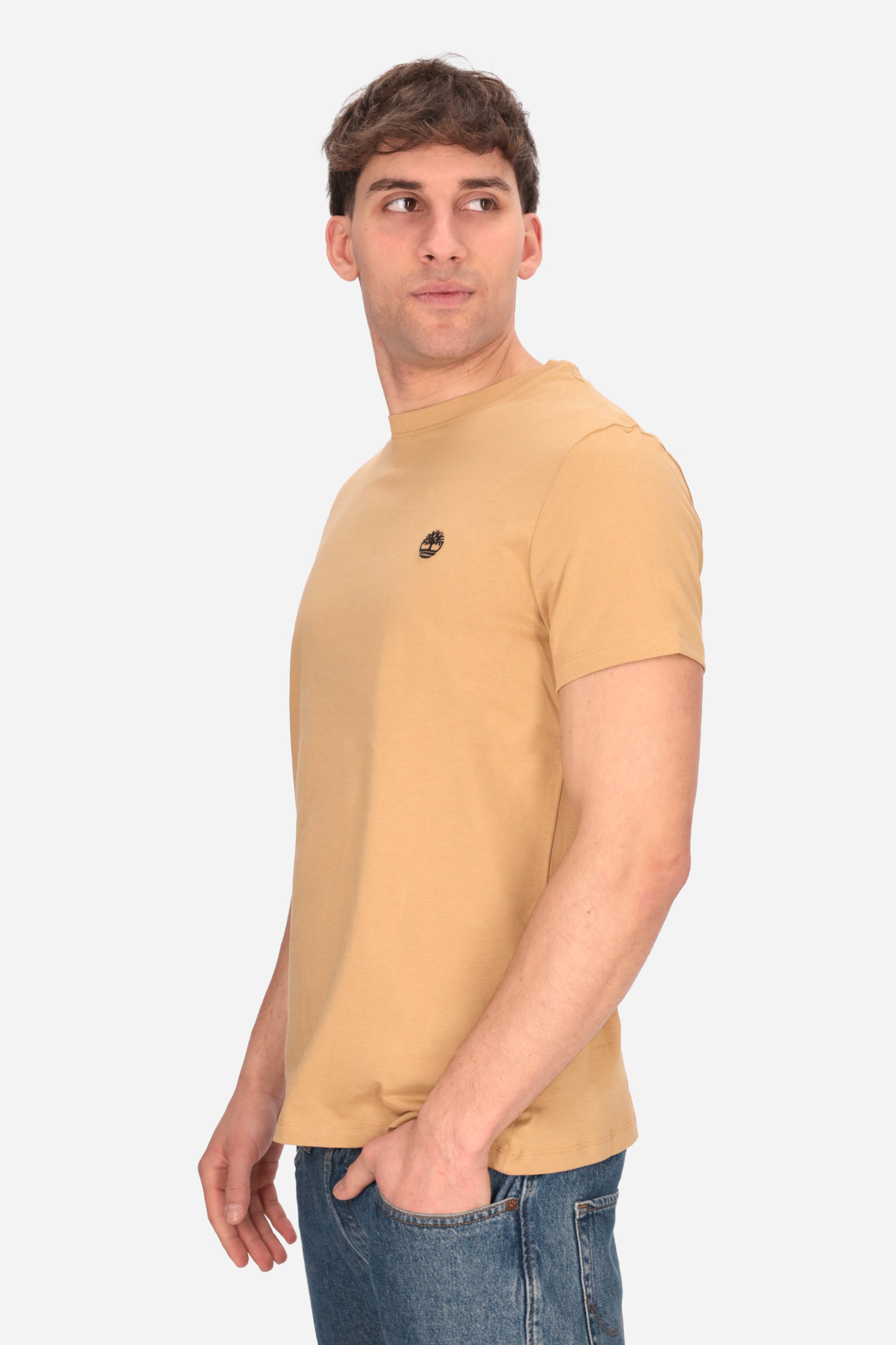CAMMELLO | TIMBERLAND - U 0A2BPR T-shirt