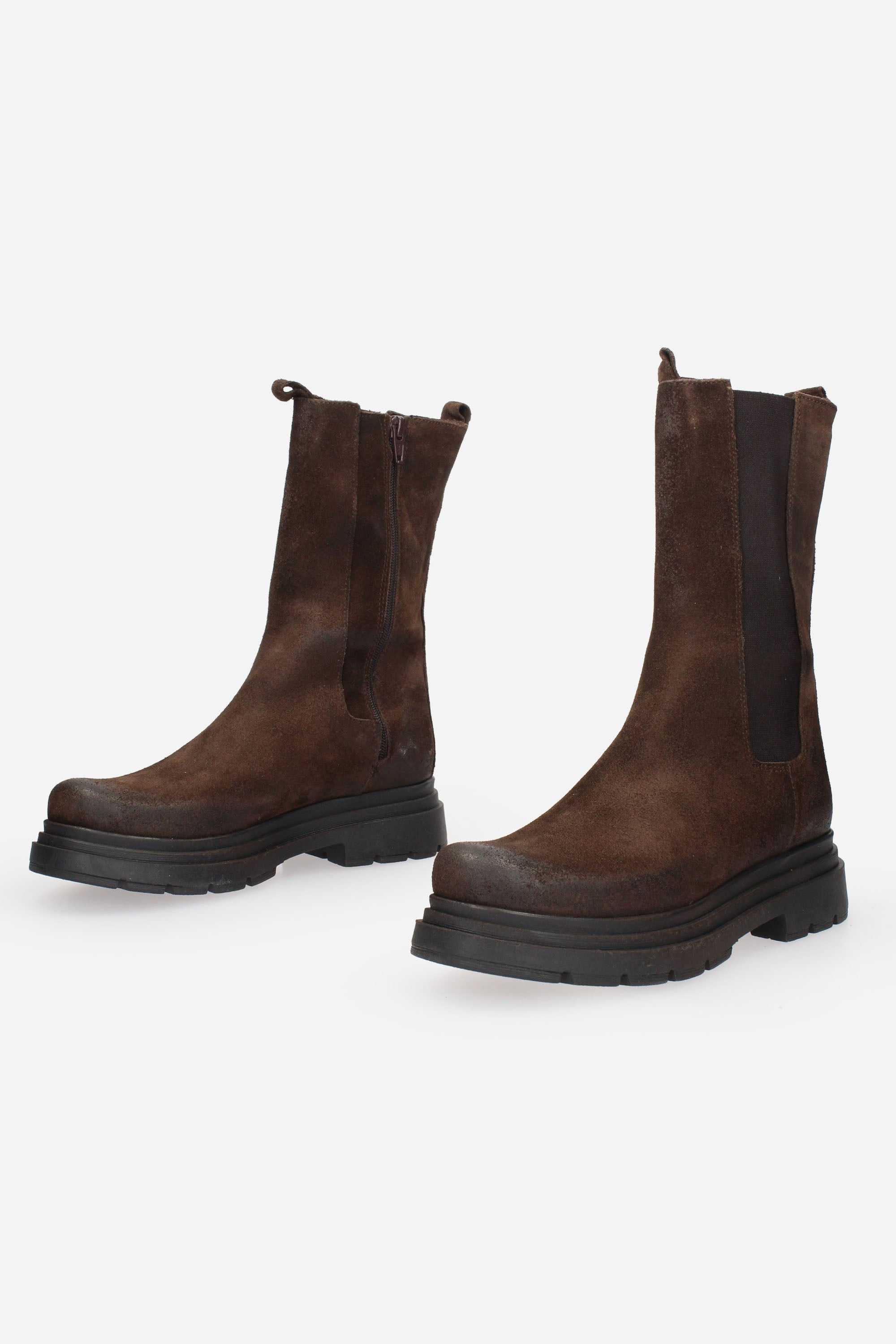 TESTA DI MORO | SANTANDREA - D CHARLOTTE Tronchetto