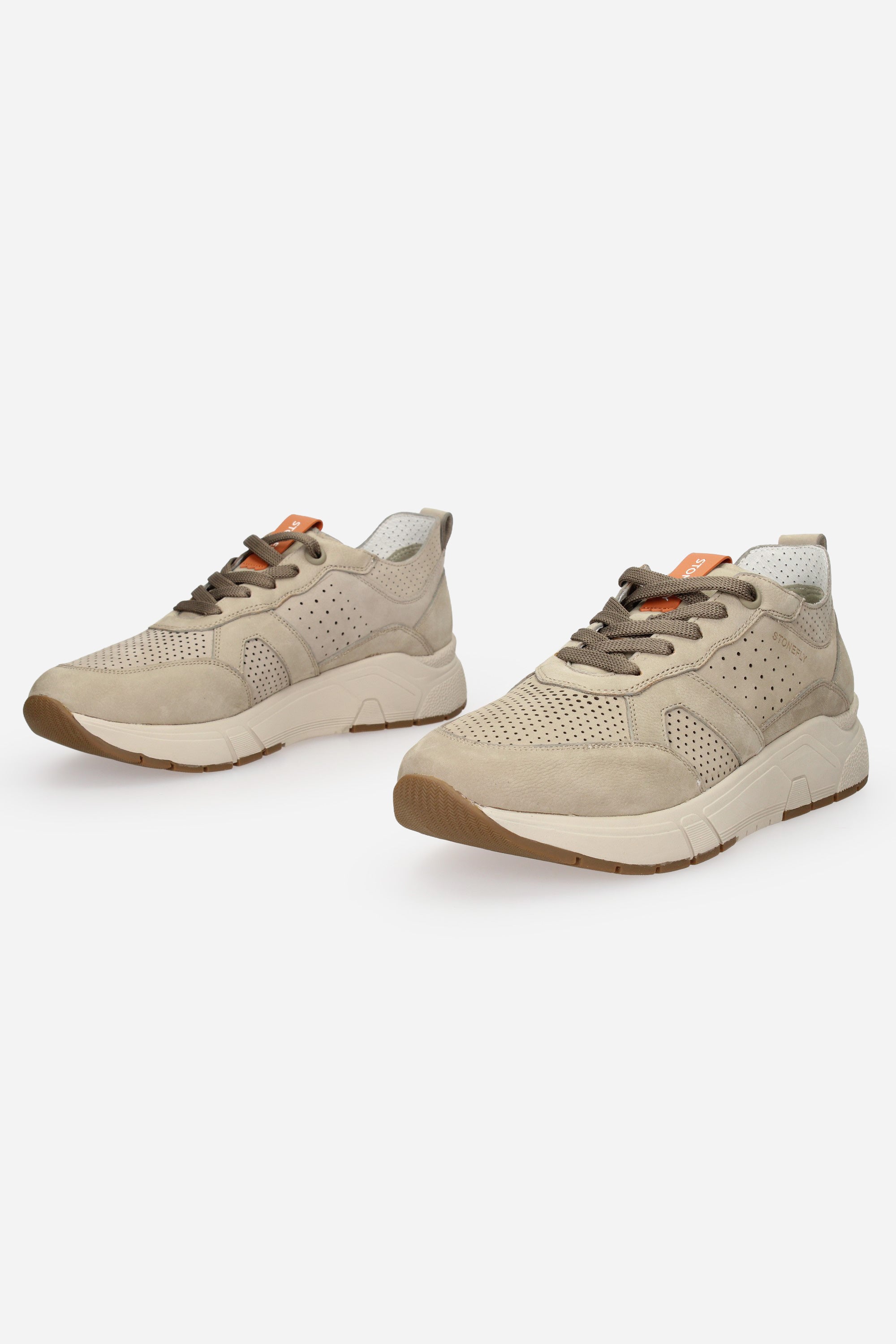 TORTORA | STONEFLY - U 220937 Sneakers