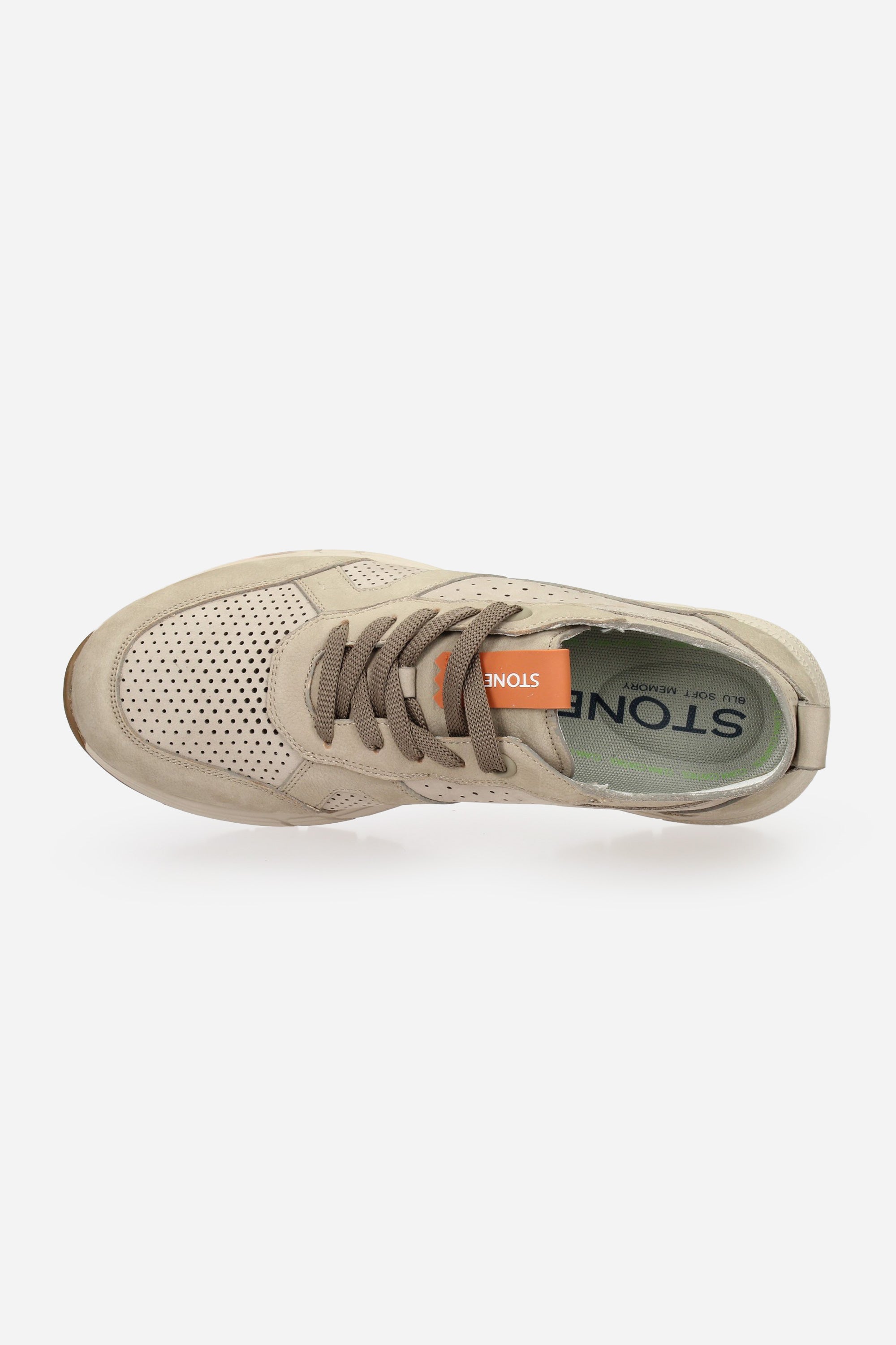 TORTORA | STONEFLY - U 220937 Sneakers