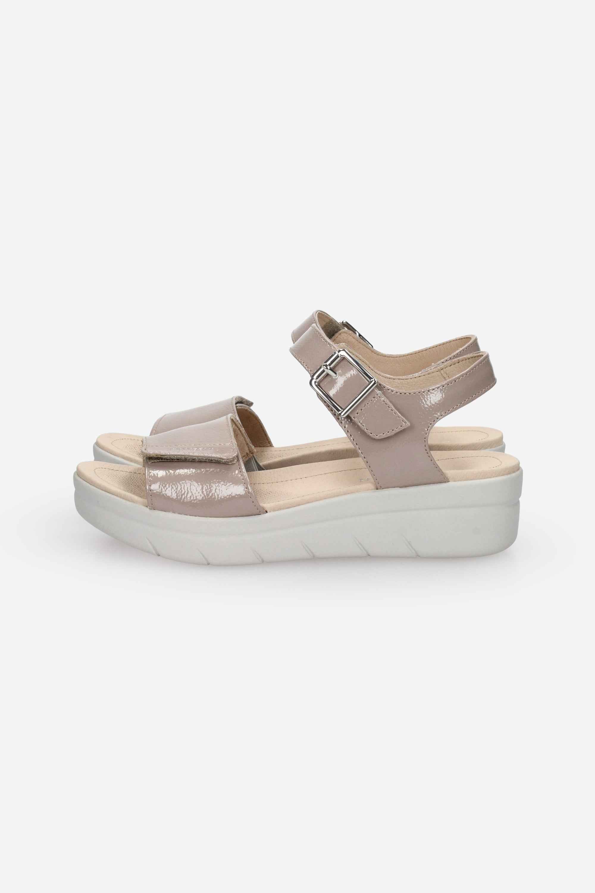 TORTORA | STONEFLY - D 108231 Sandalo