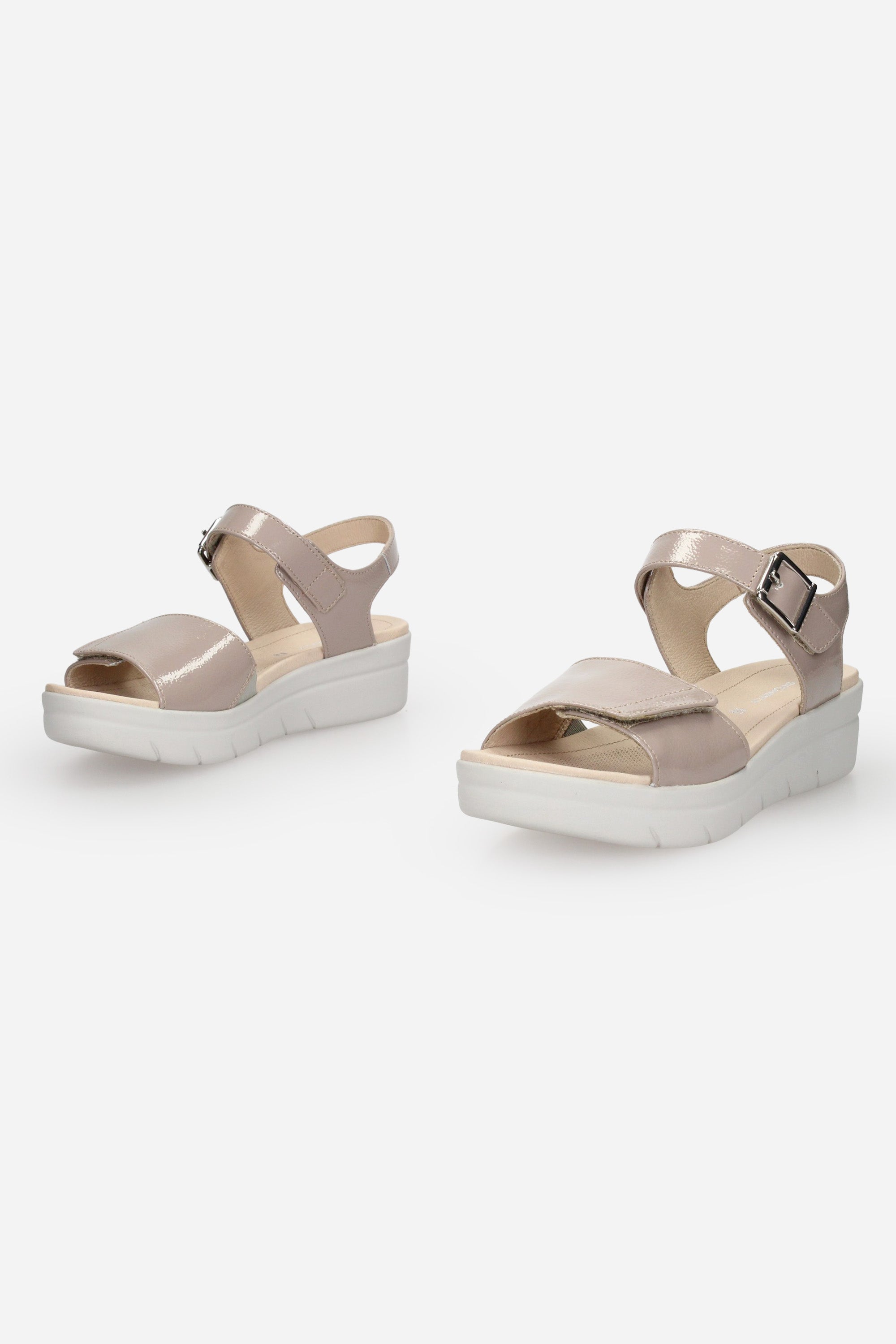 TORTORA | STONEFLY - D 108231 Sandalo
