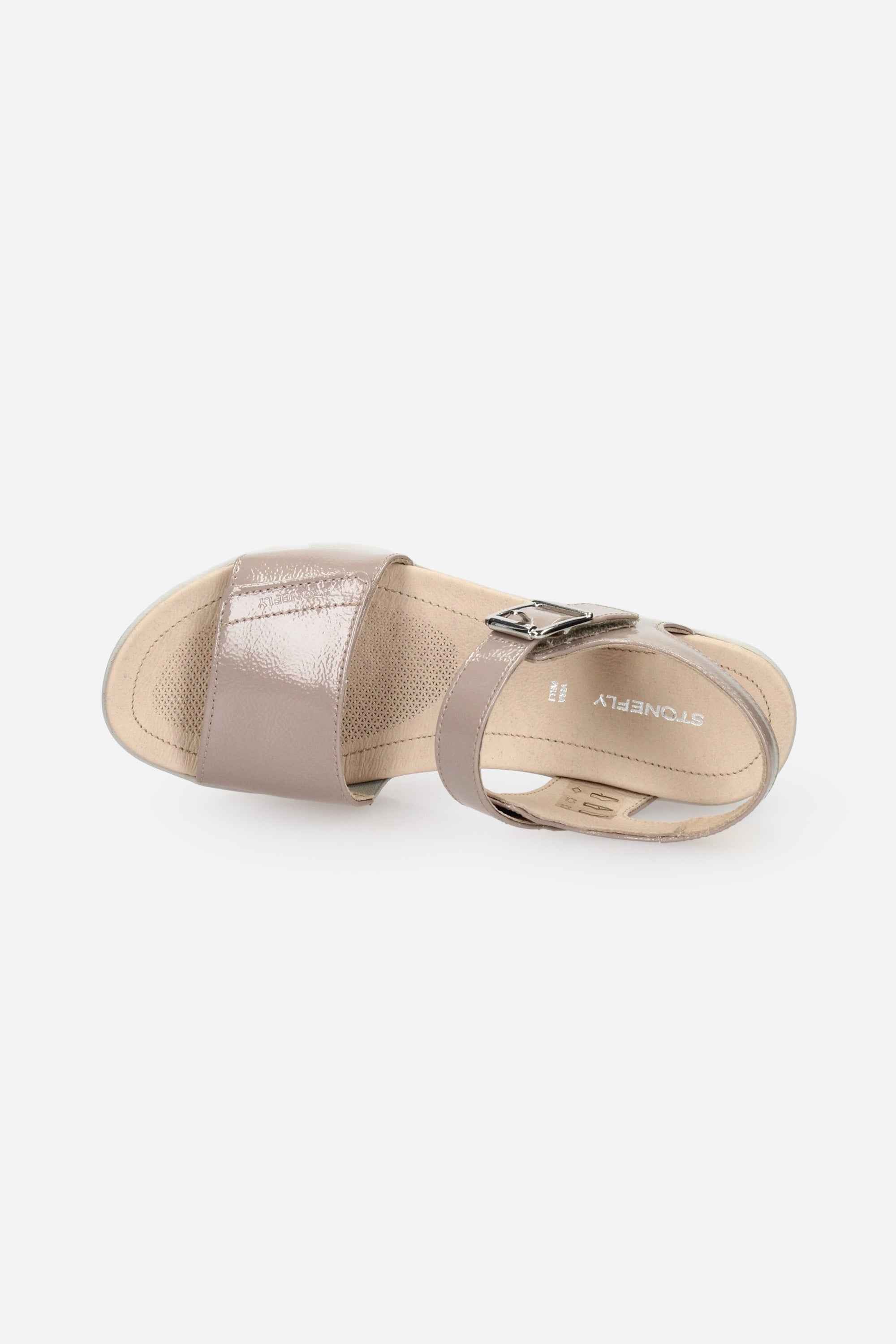 TORTORA | STONEFLY - D 108231 Sandalo