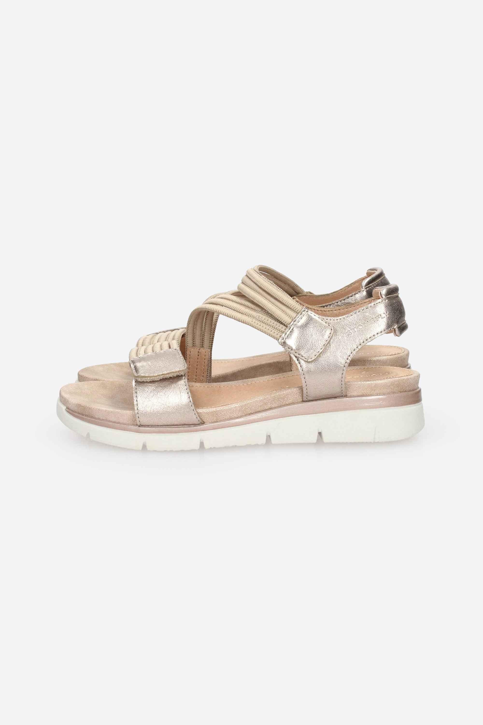 TORTORA | STONEFLY - D 220831 Sandalo