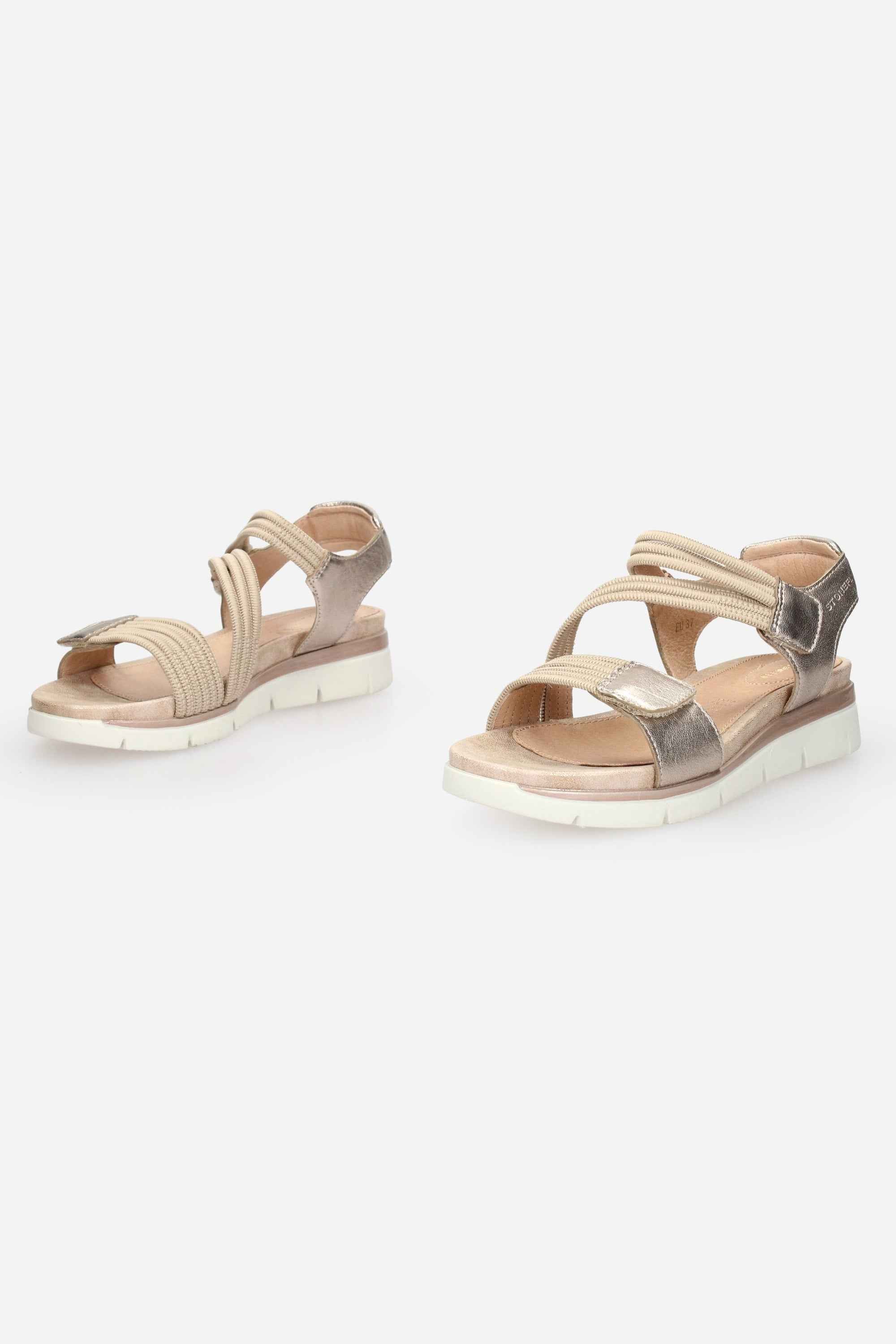 TORTORA | STONEFLY - D 220831 Sandalo
