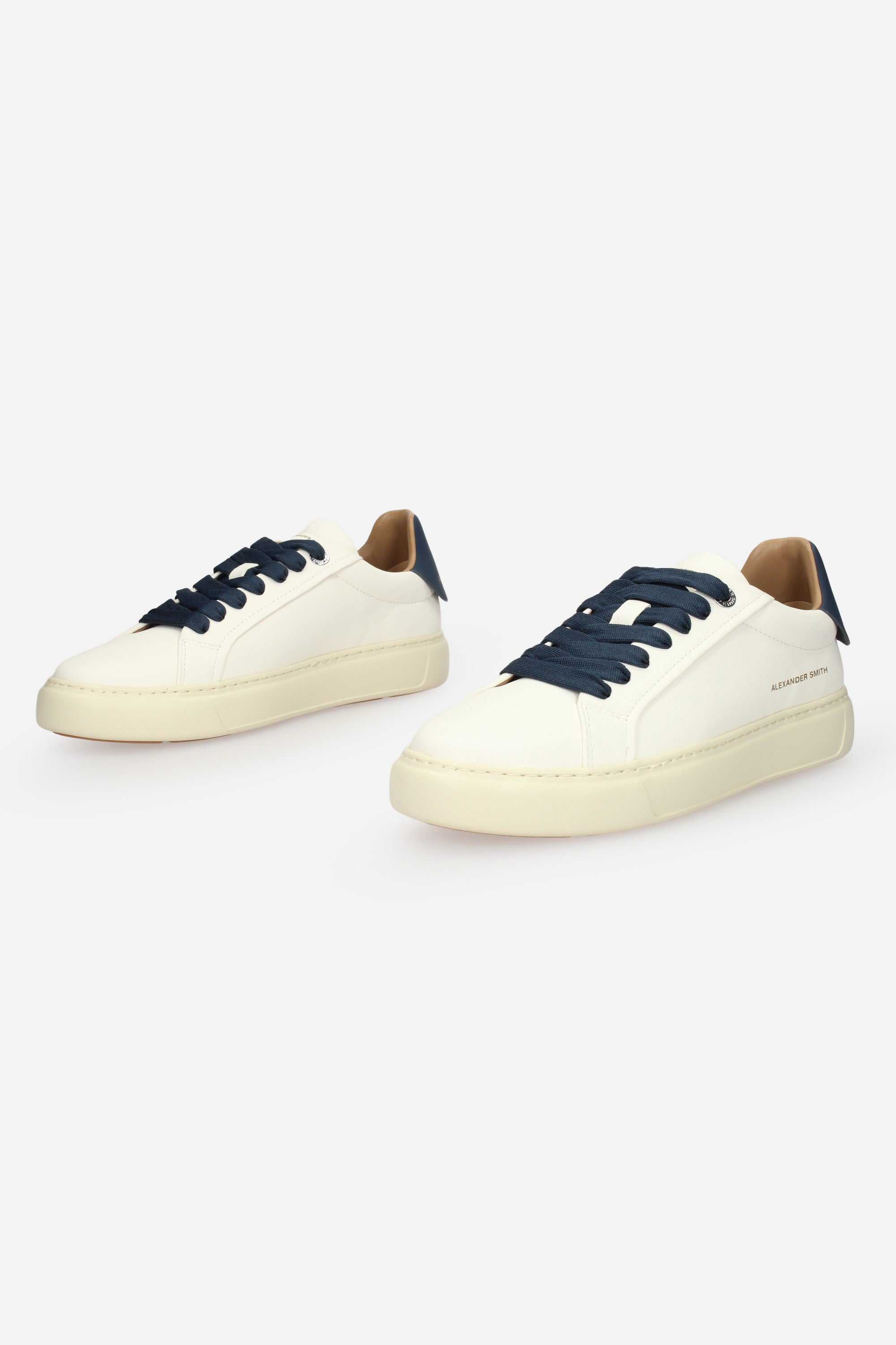 BIANCO | ALEXANDER SMITH - U 3667 Sneakers