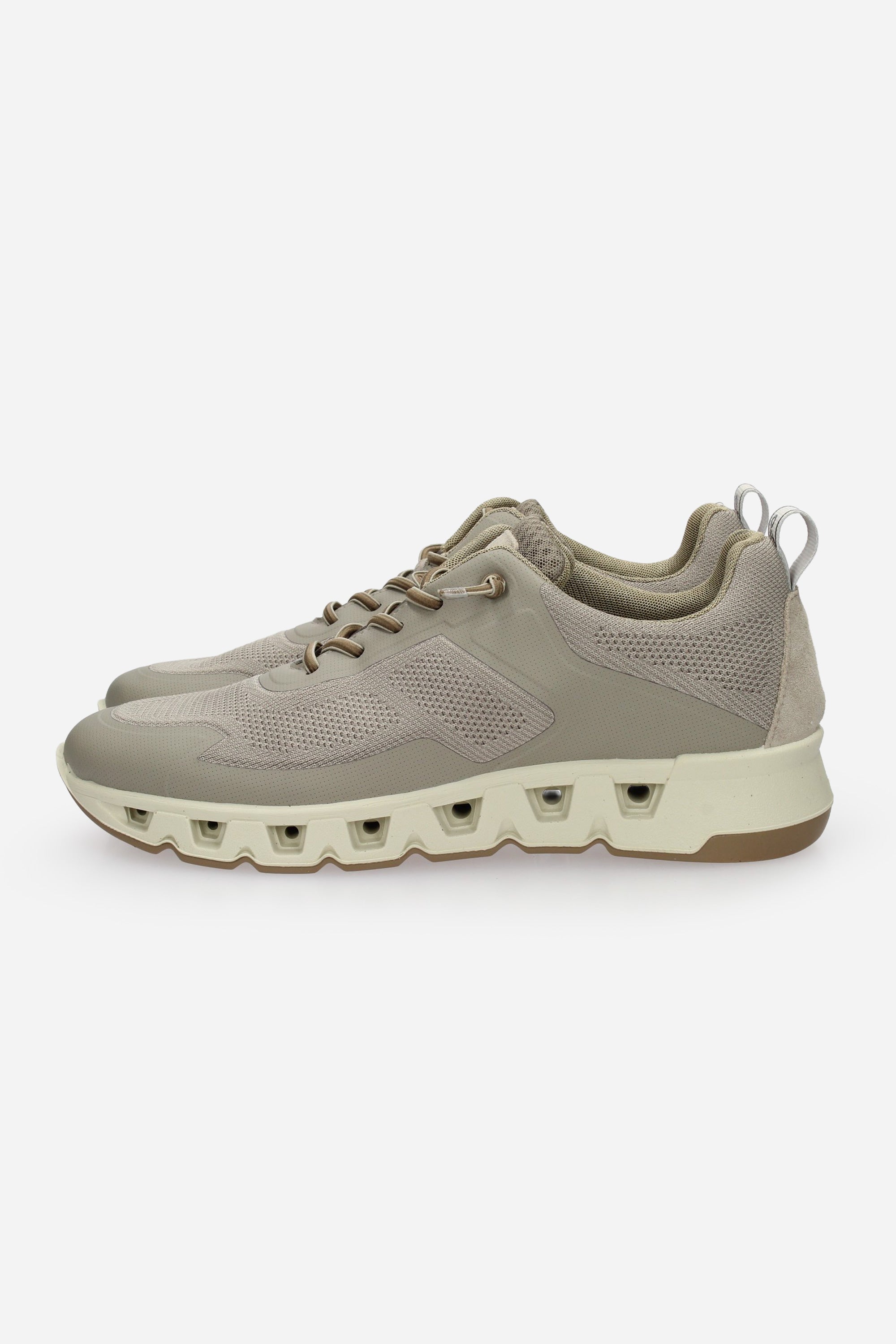 TORTORA | IGI & CO - U 1133011 Sneakers