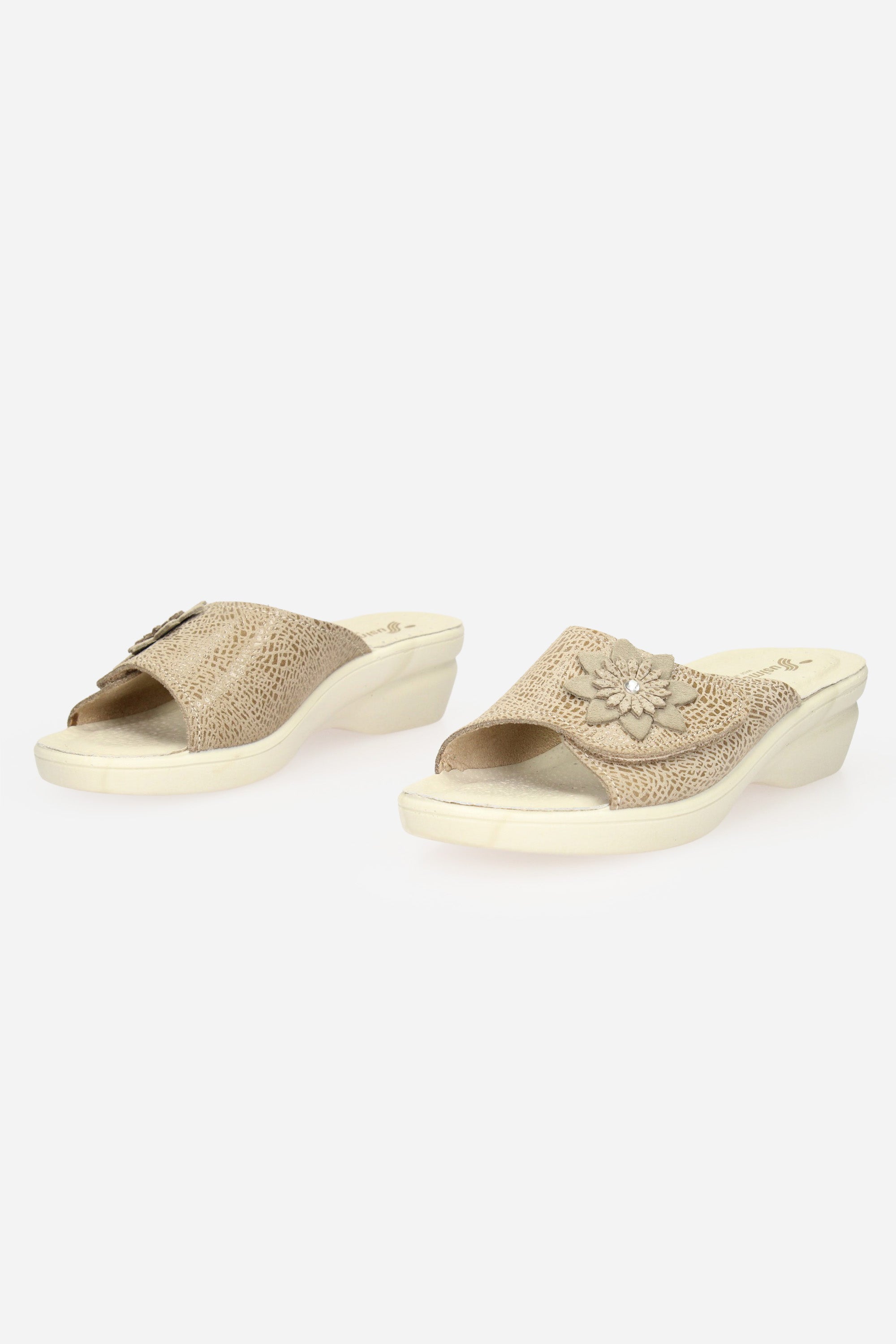 TORTORA | SUSIMODA - D B362021 Ciabatta