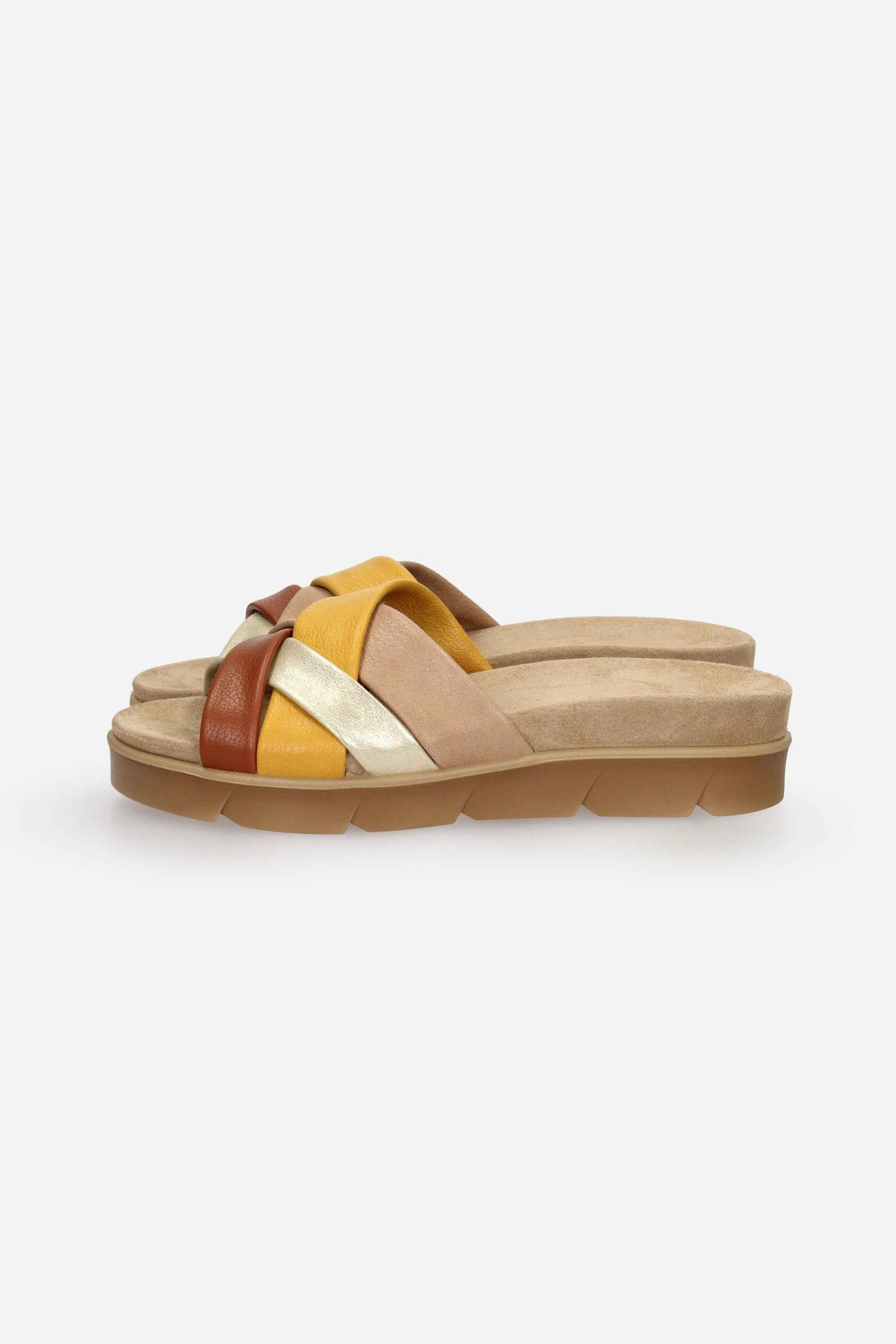 TORTORA | IGI & CO - D 1167233 Ciabatta