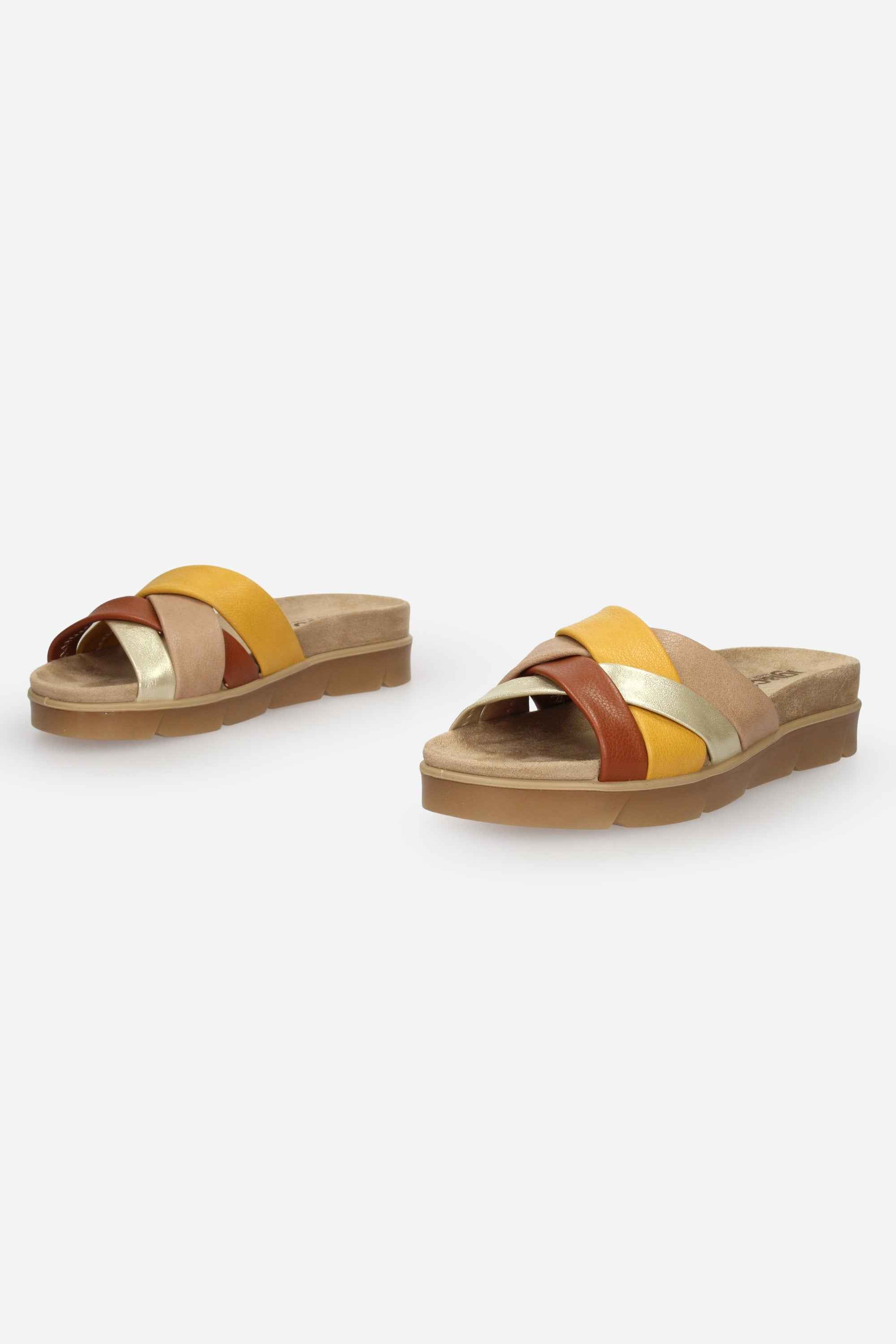 TORTORA | IGI & CO - D 1167233 Ciabatta