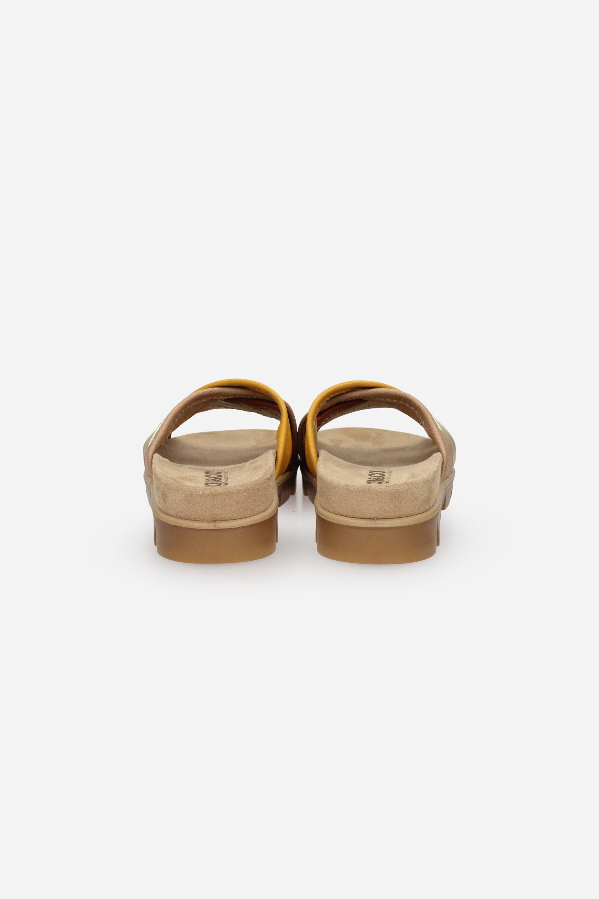 TORTORA | IGI & CO - D 1167233 Ciabatta