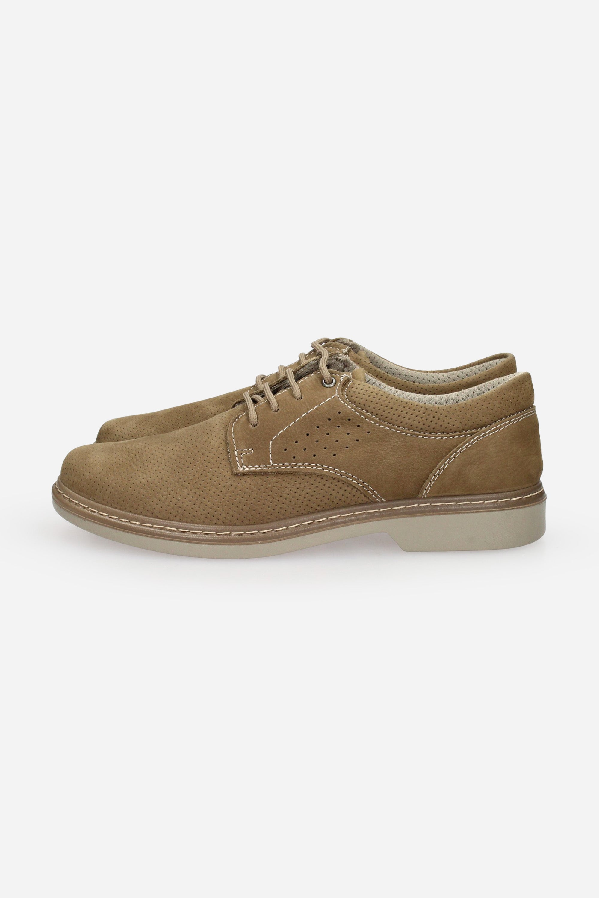 TORTORA | ENVAL - U 1214522 Stringata