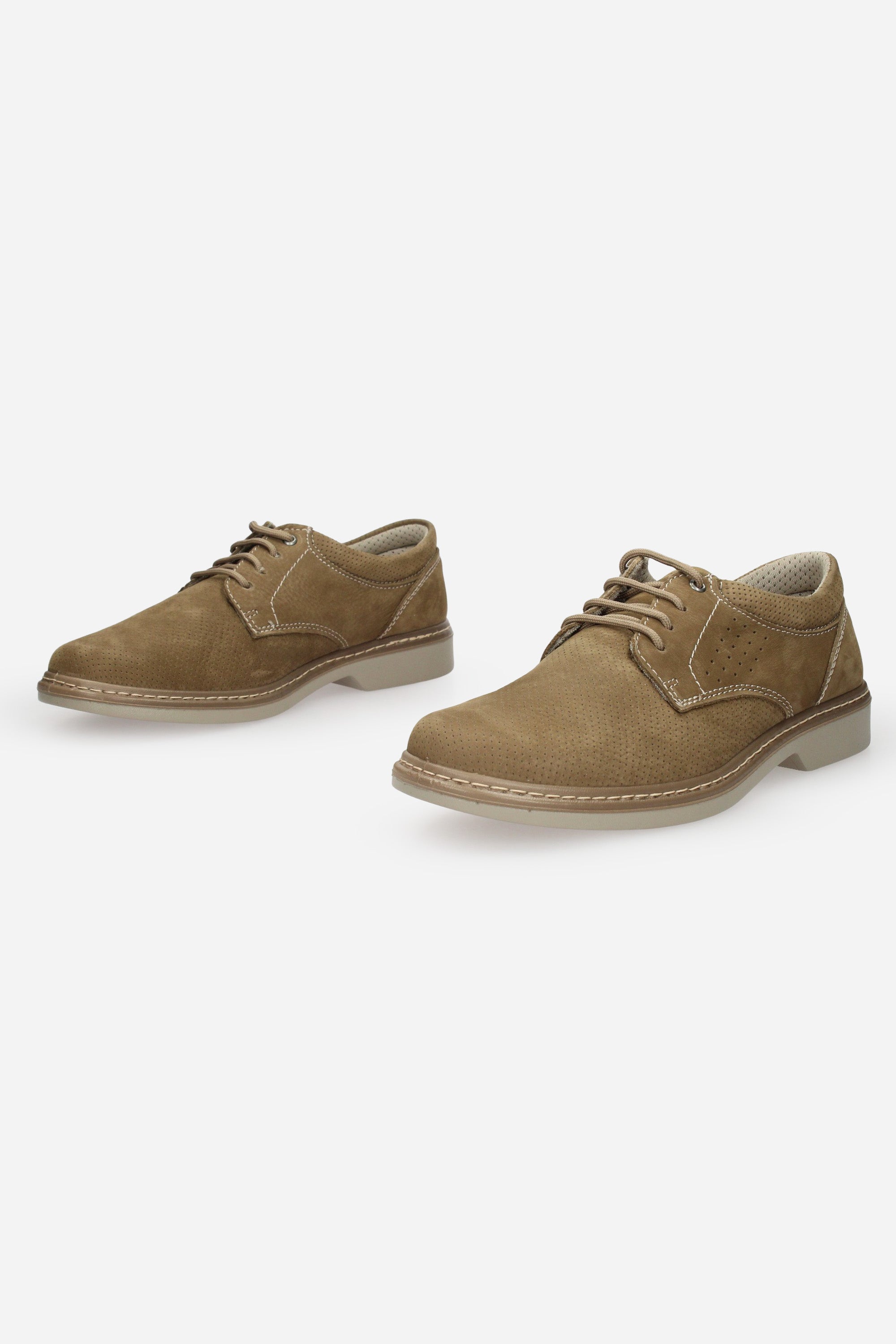 TORTORA | ENVAL - U 1214522 Stringata