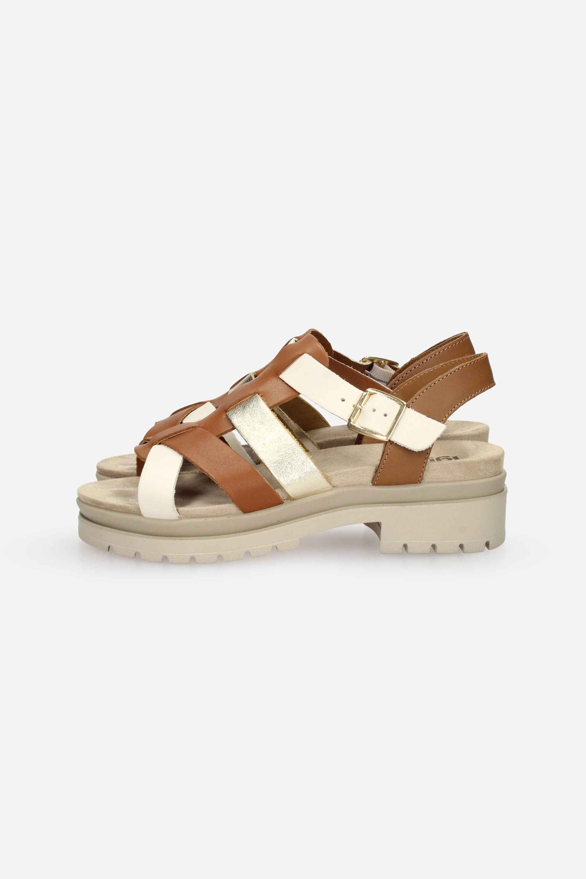 PLATINO | IGI & CO - D 1169522 Sandalo
