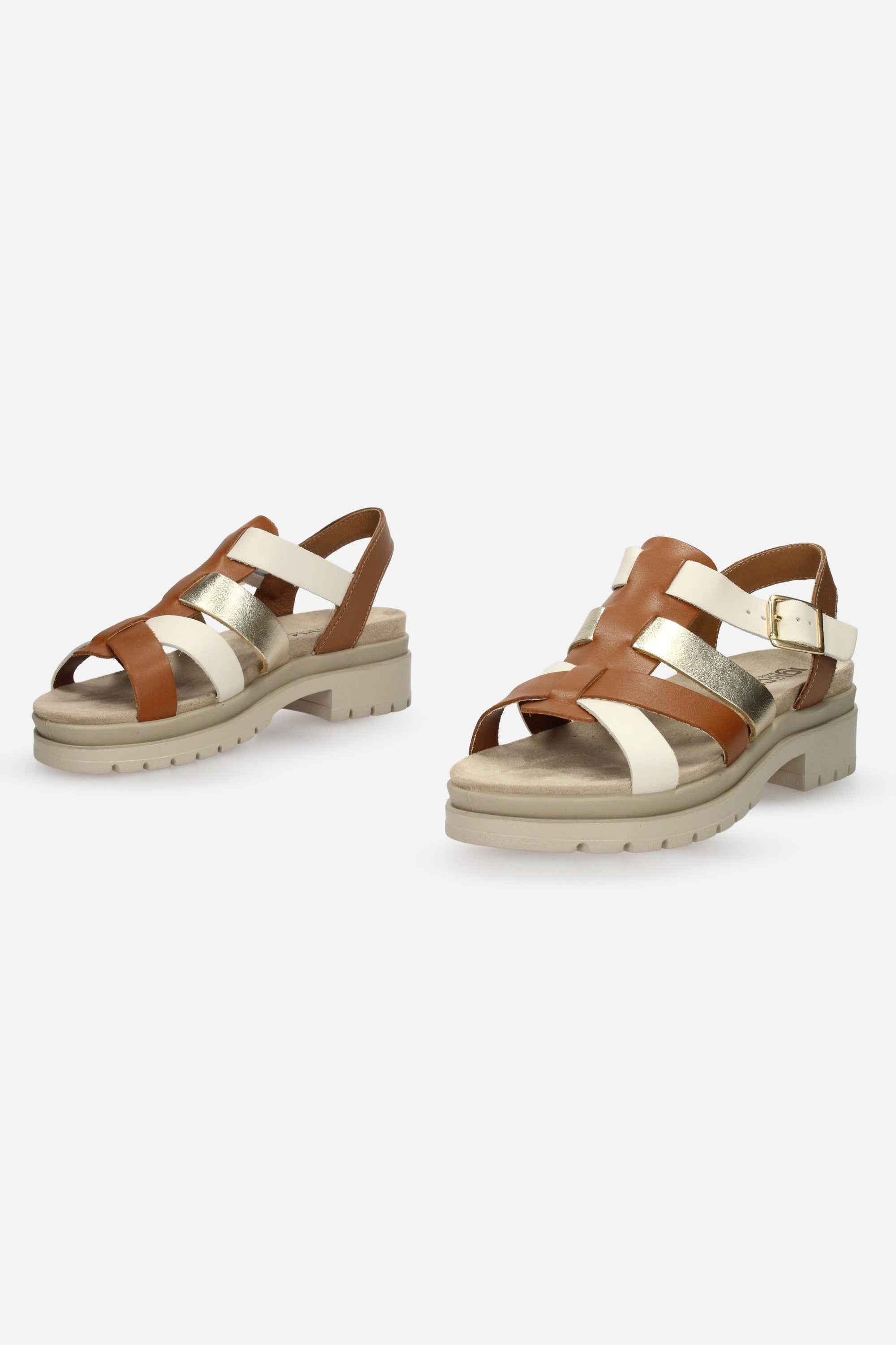 PLATINO | IGI & CO - D 1169522 Sandalo