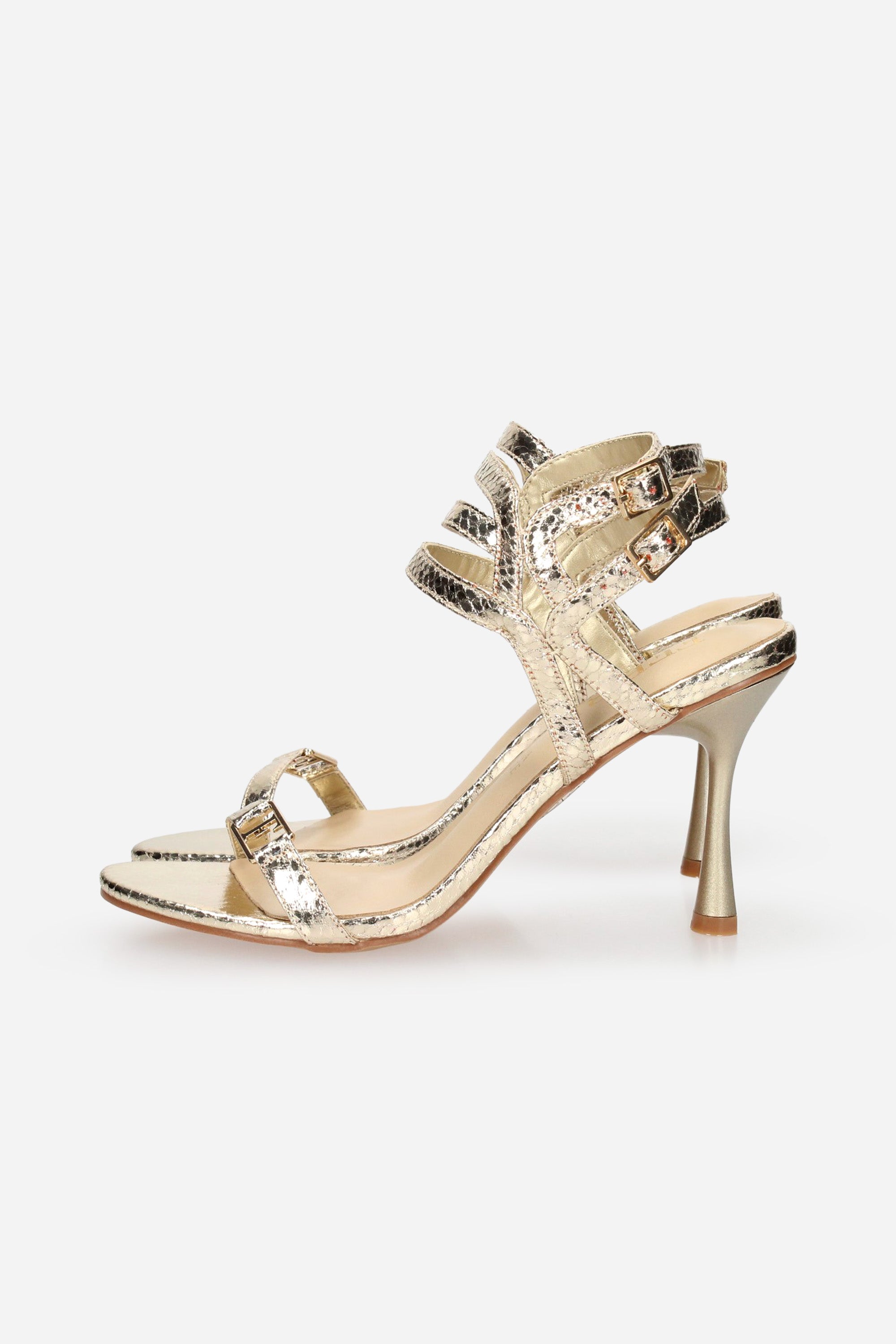 ORO | FERRE - D F-800 Sandalo