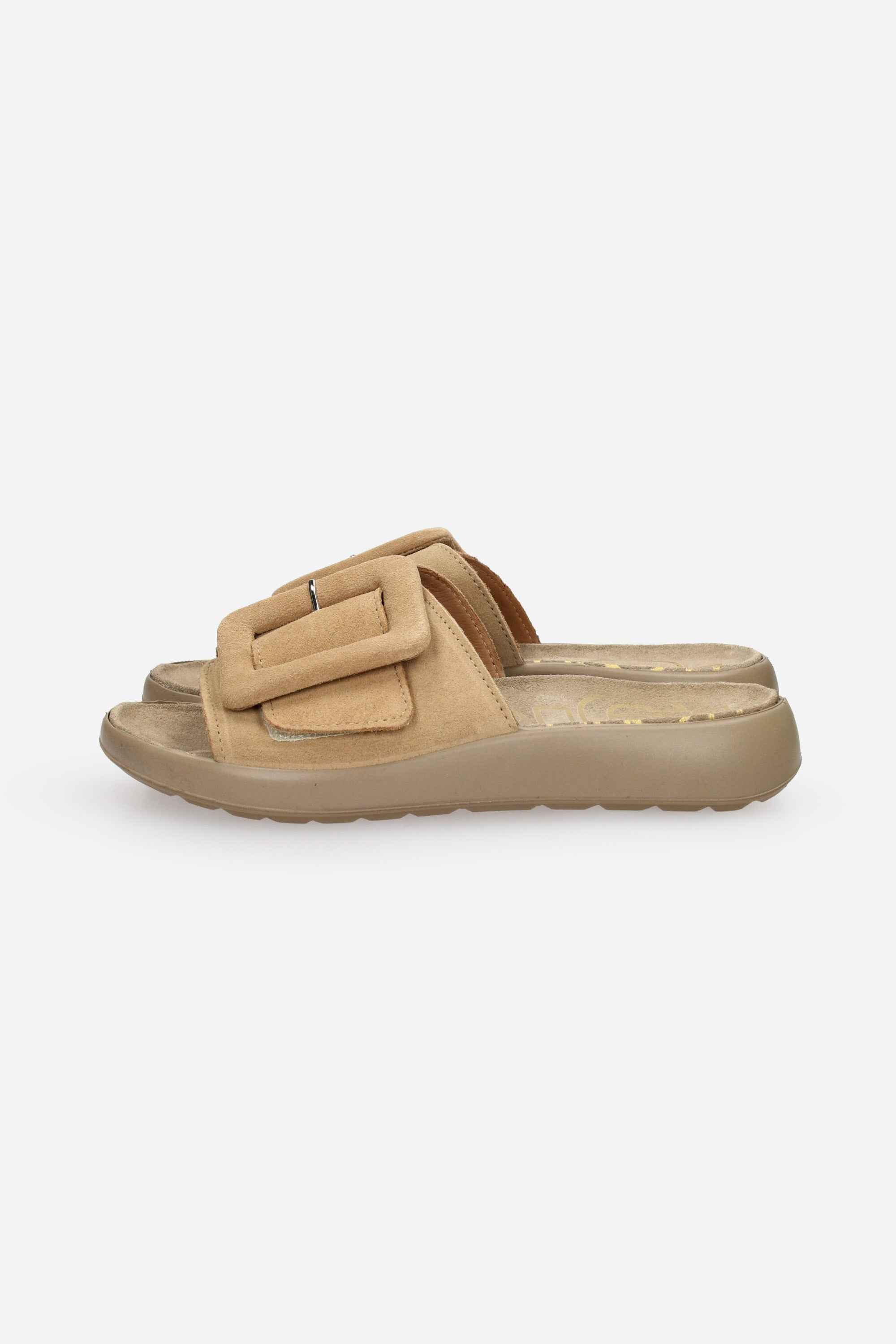 CAMMELLO | IGI & CO - D 1179444 Ciabatta
