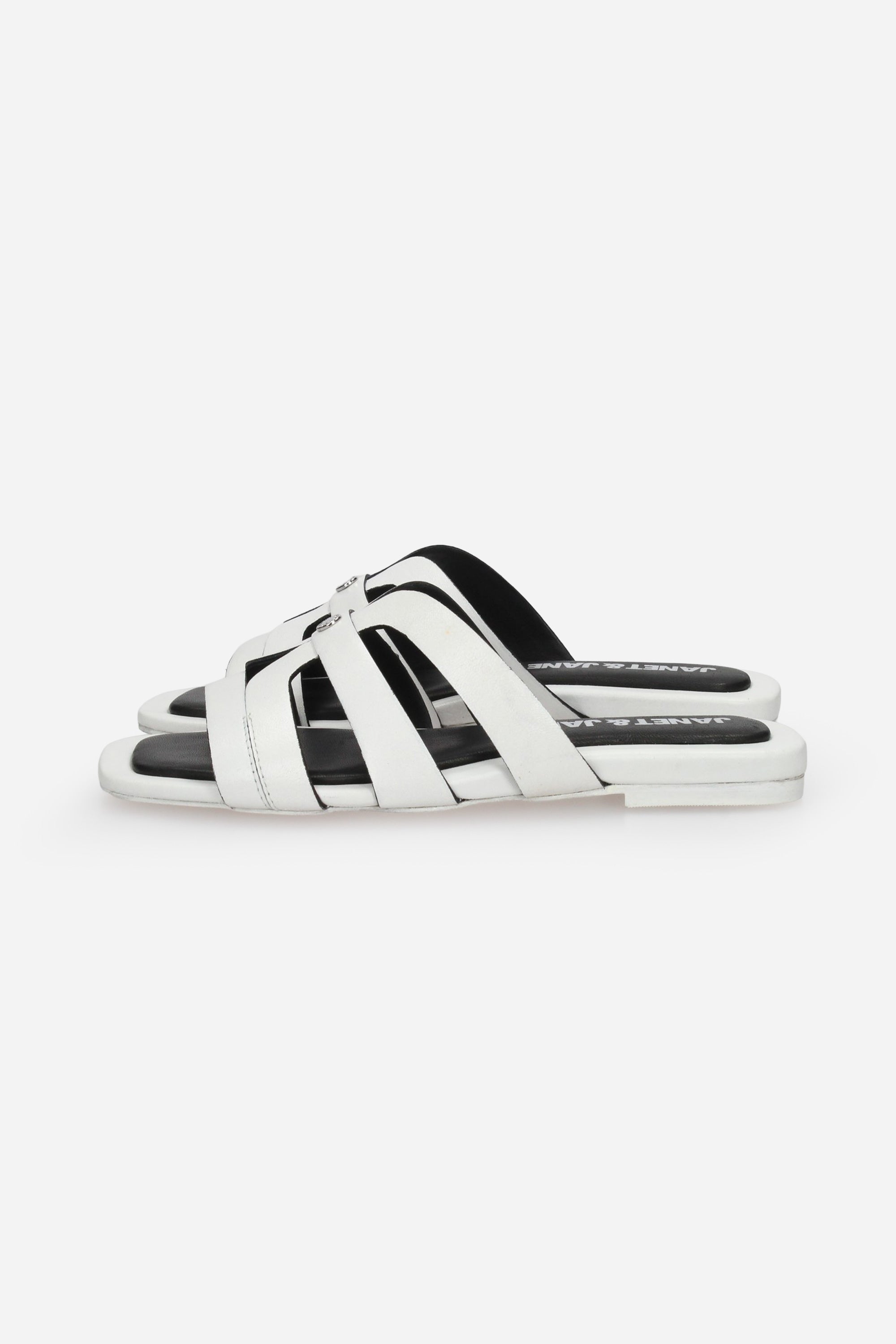 BIANCO | JANET & JANET - D J-682 Ciabatta