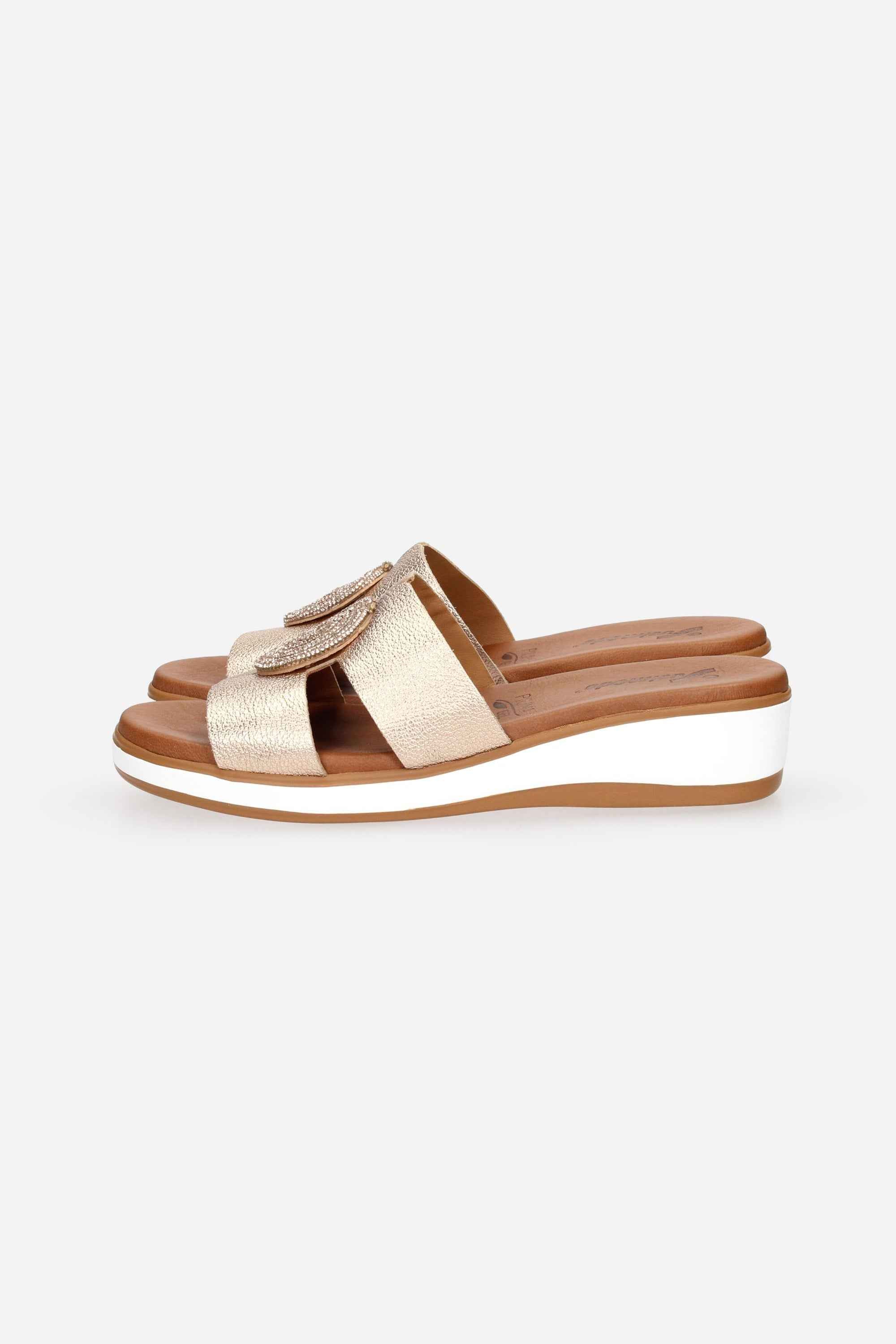 SUSIMODA - D A006102 Ciabatta