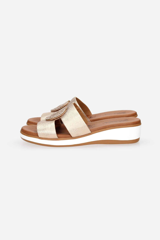 SUSIMODA - D A006102 Ciabatta