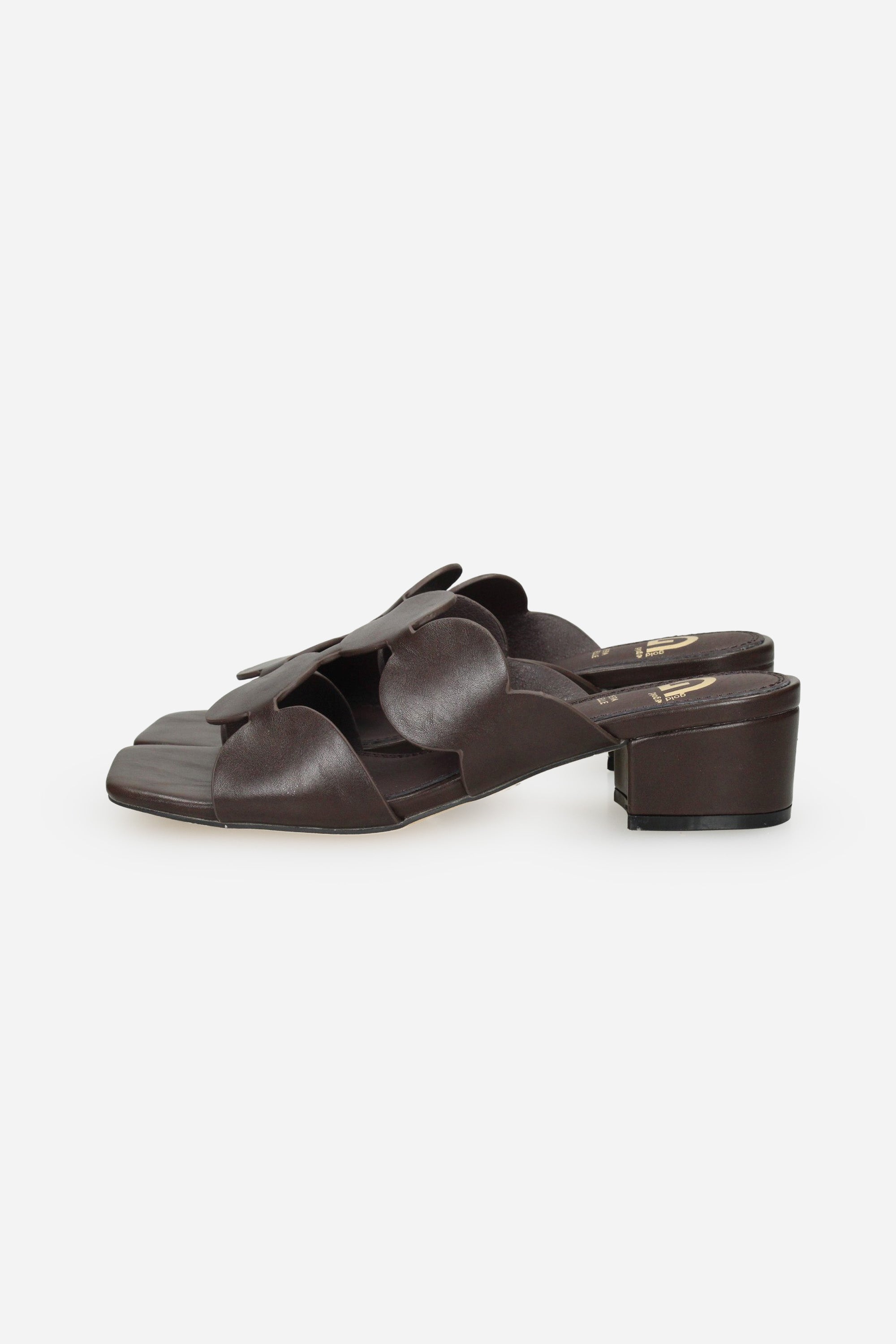 MARRONE | GOLD & GOLD - D FG12 Ciabatta