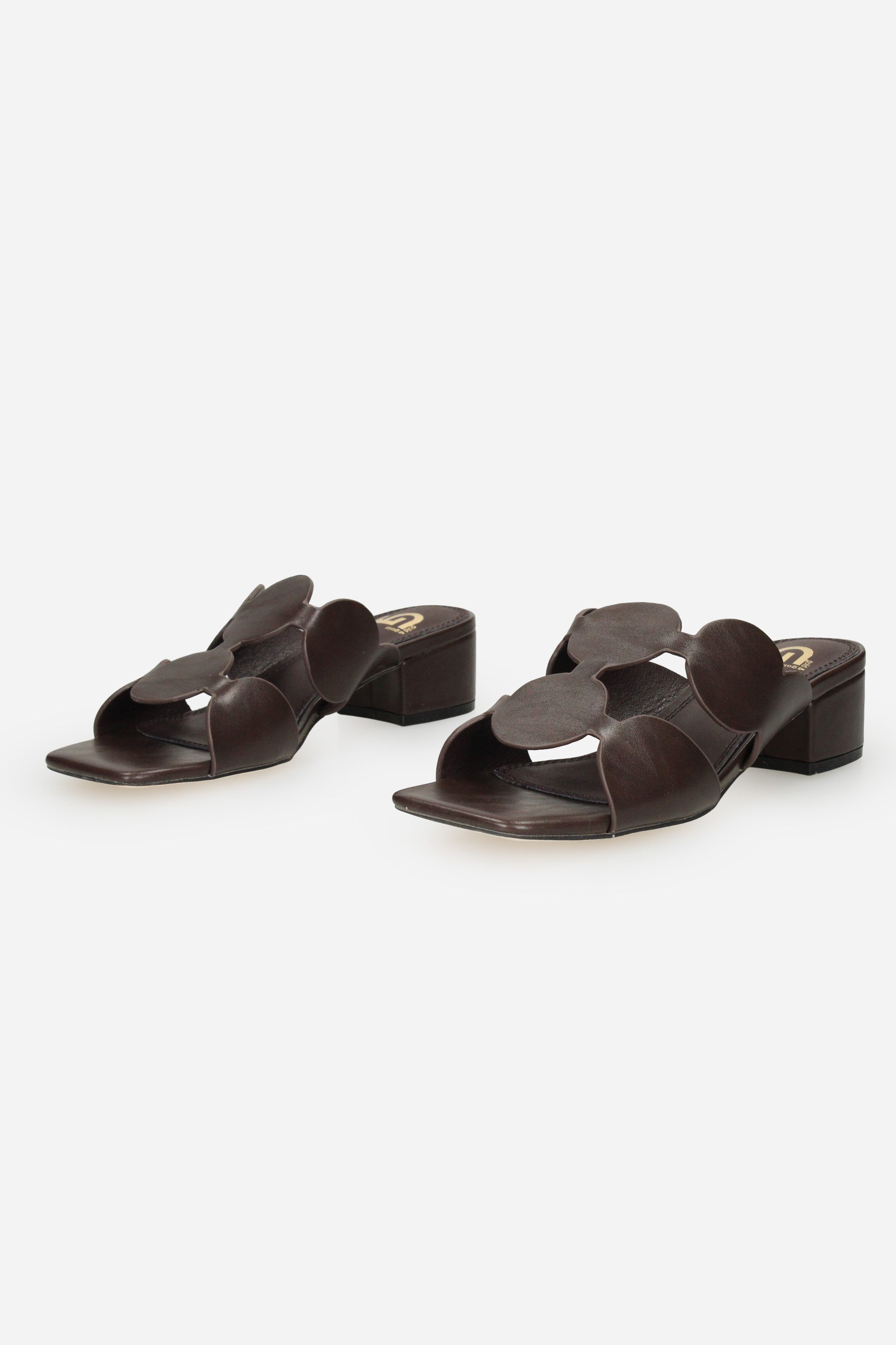 MARRONE | GOLD & GOLD - D FG12 Ciabatta